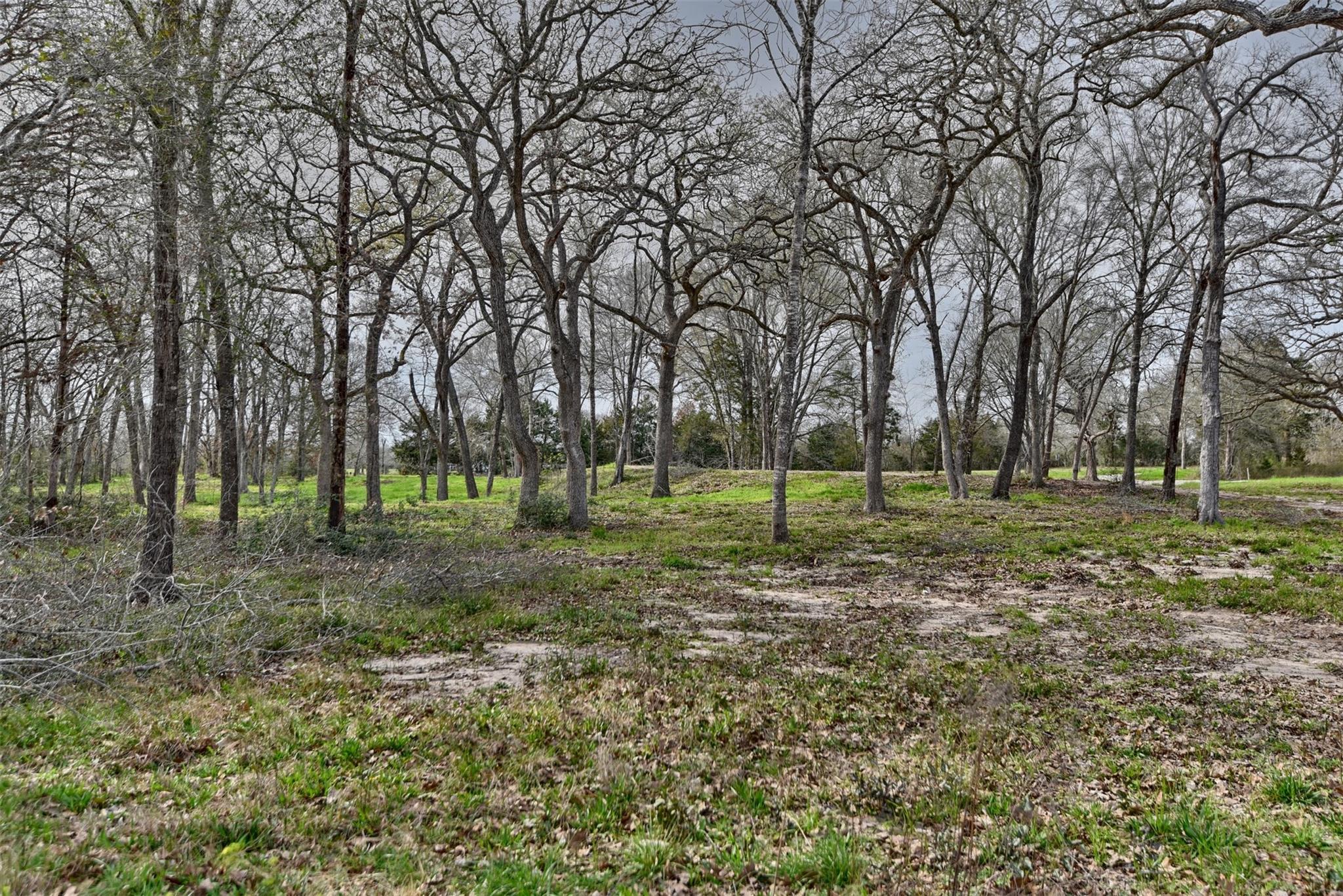 Tbd Allen Rd Property Photo 14