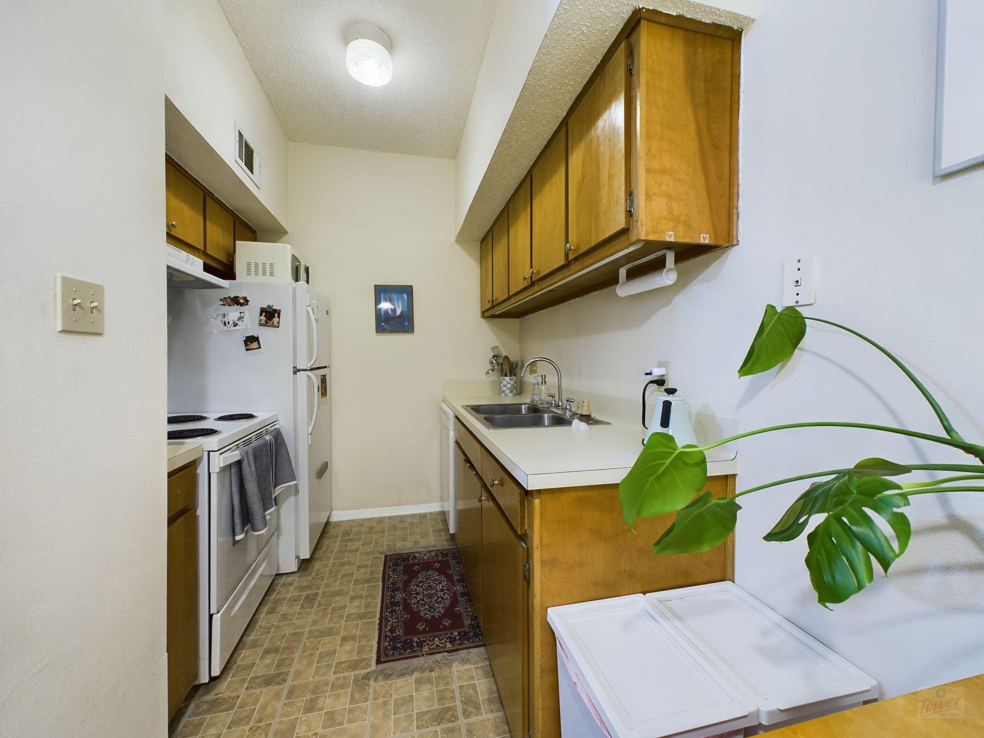 3316 Guadalupe St 317 Property Photo 4