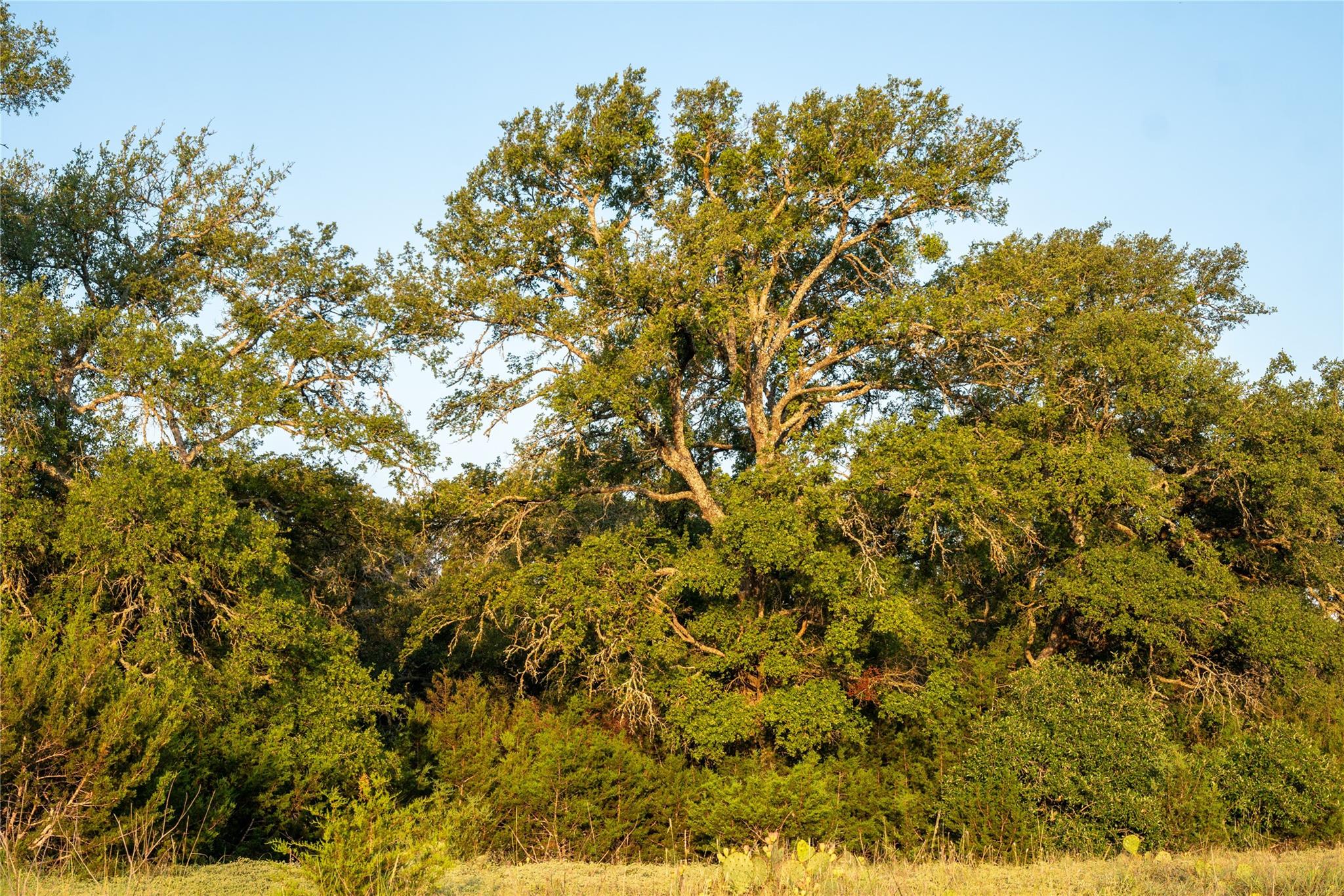 Tbd Mormon Mill Road Property Photo 4