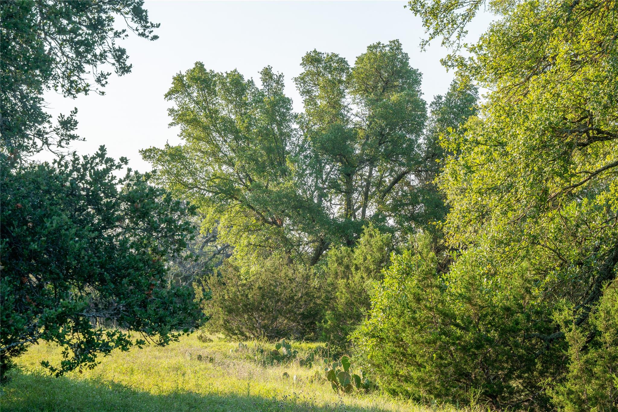 Tbd Mormon Mill Road Property Photo 20