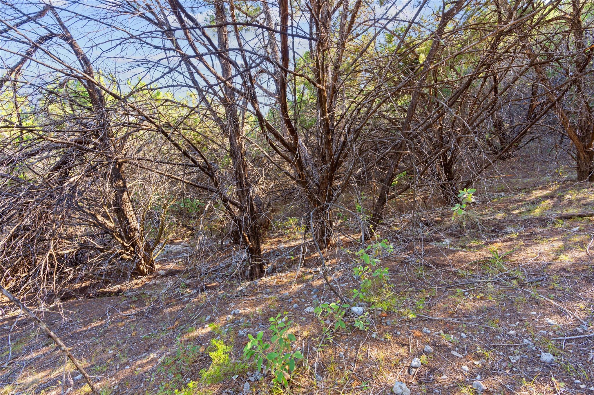 8600 Tegua Cv Property Photo 7