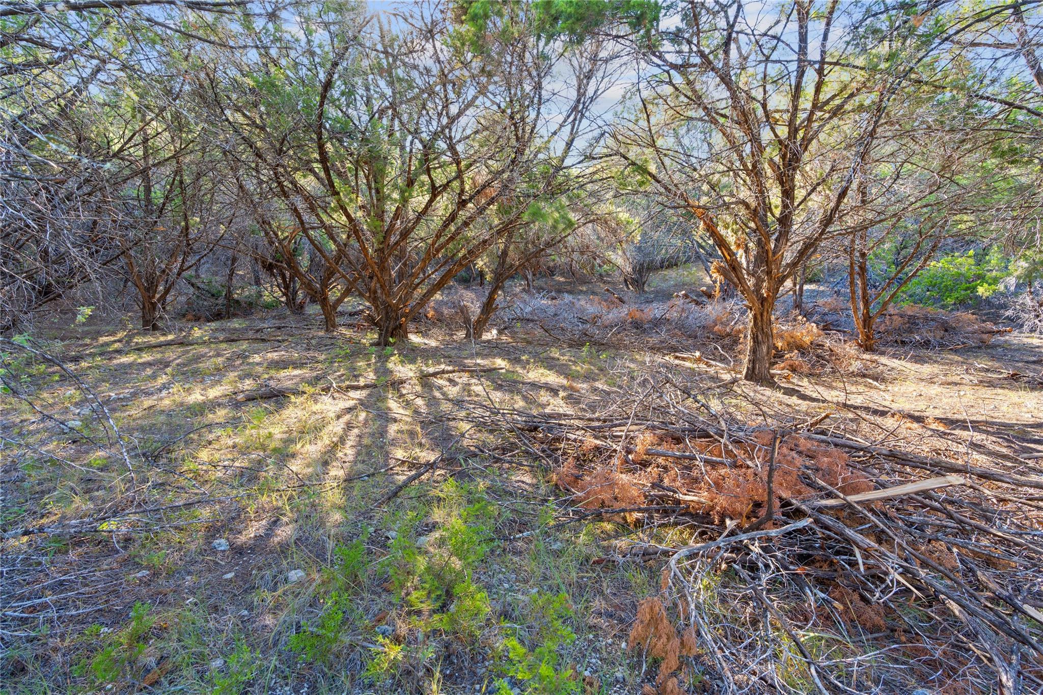 8600 Tegua Cv Property Photo 14