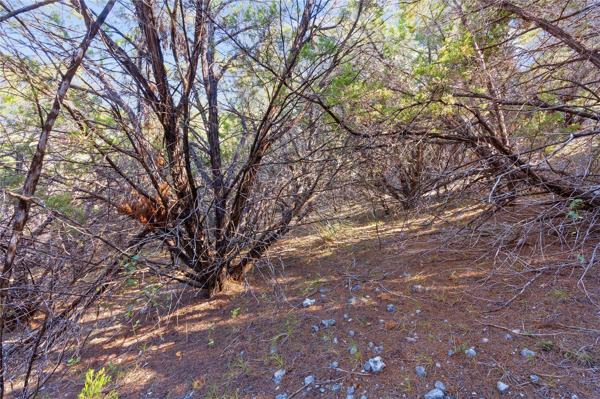 8600 Tegua Cv Property Photo 15