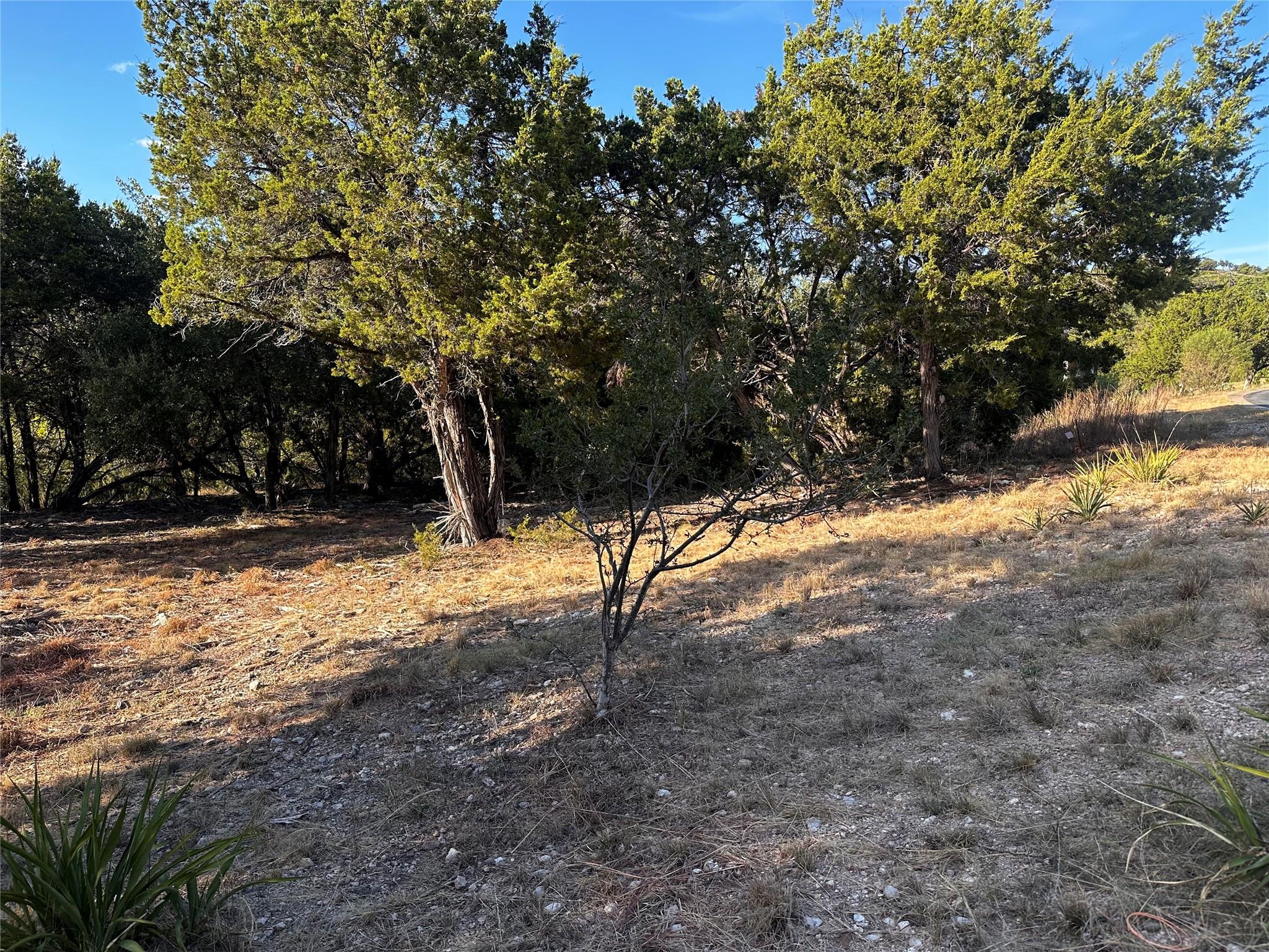 18005 Breakwater Dr Property Photo 7
