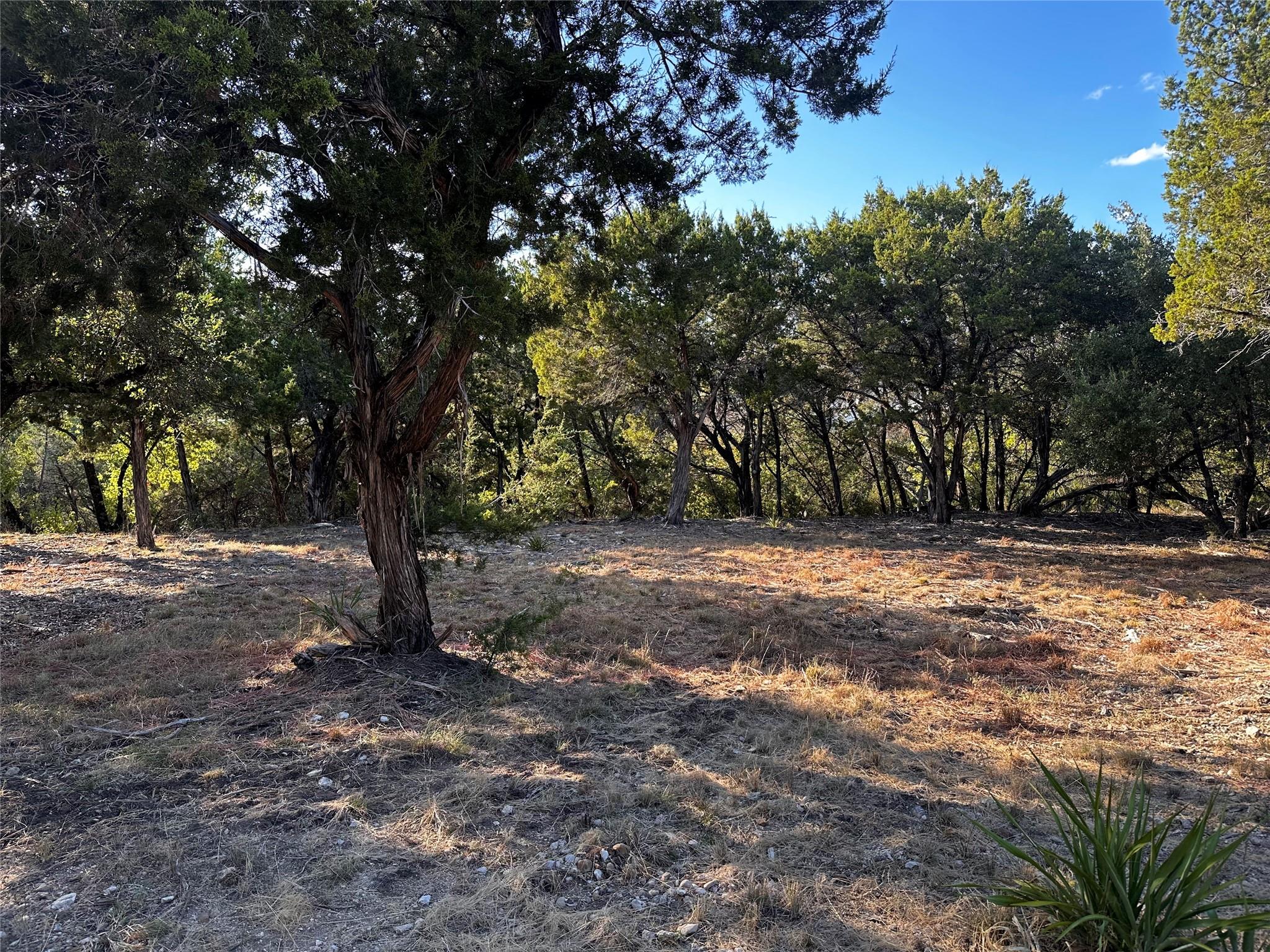 18005 Breakwater Dr Property Photo 8