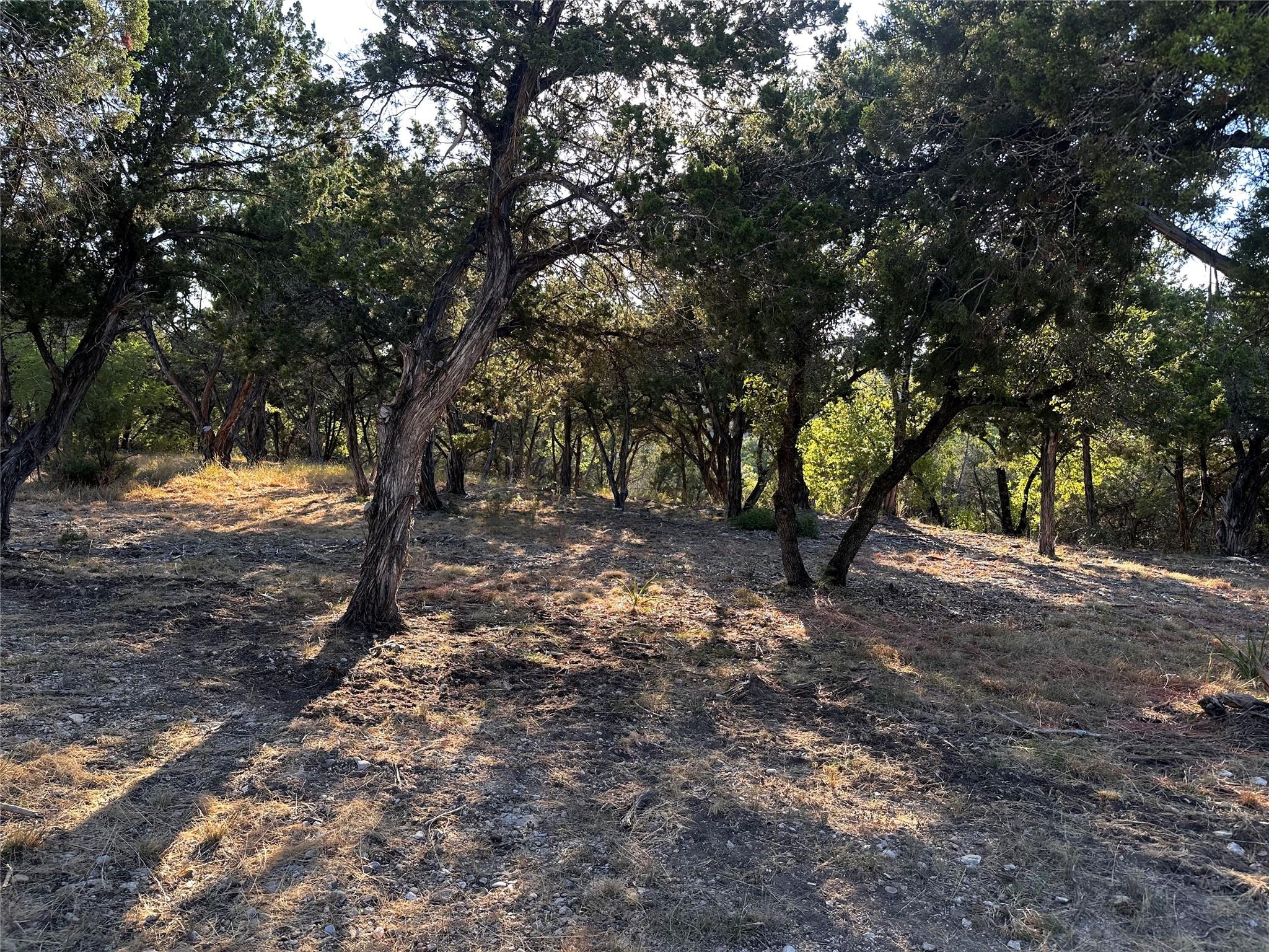 18005 Breakwater Dr Property Photo 9