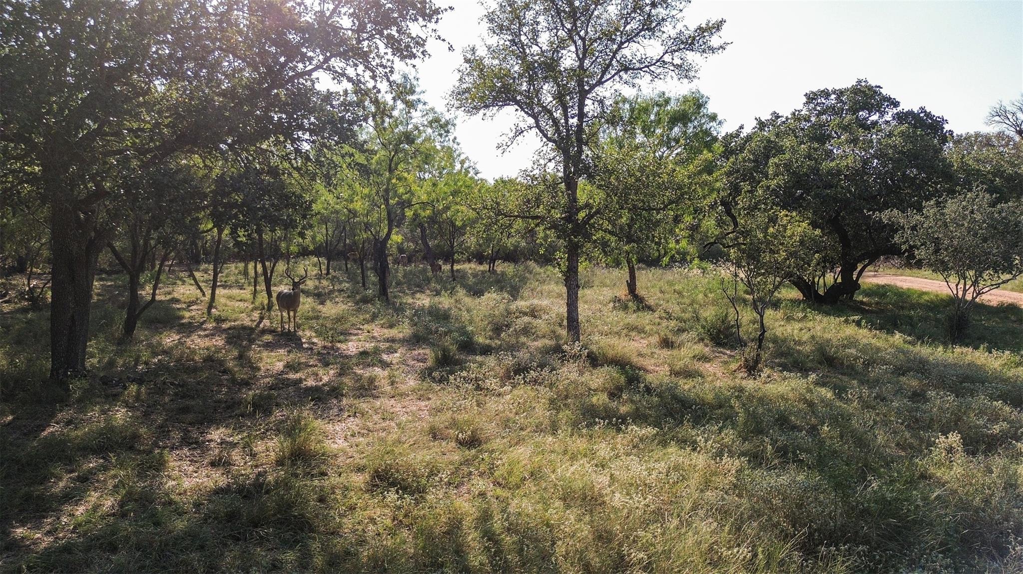 N/a Persimmon Dr Property Photo 5
