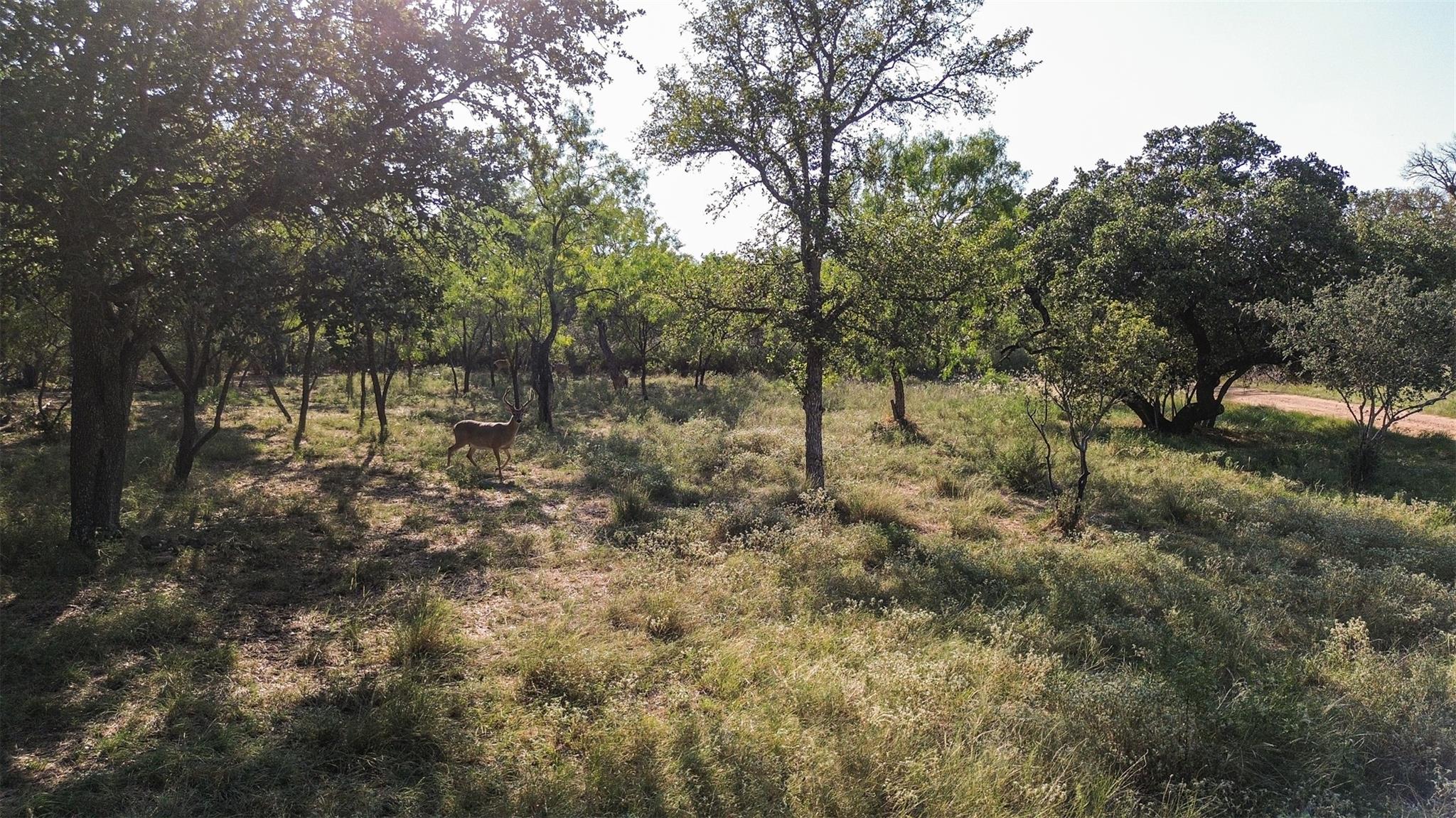 N/a Persimmon Dr Property Photo 6