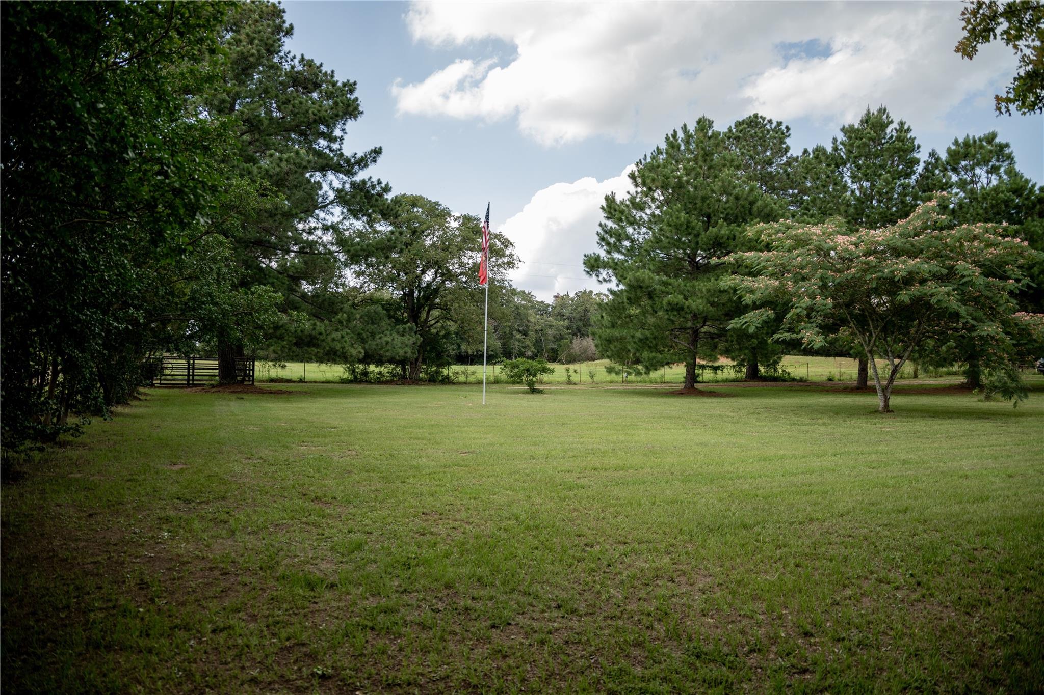 1790 Cr 401 Property Photo 3
