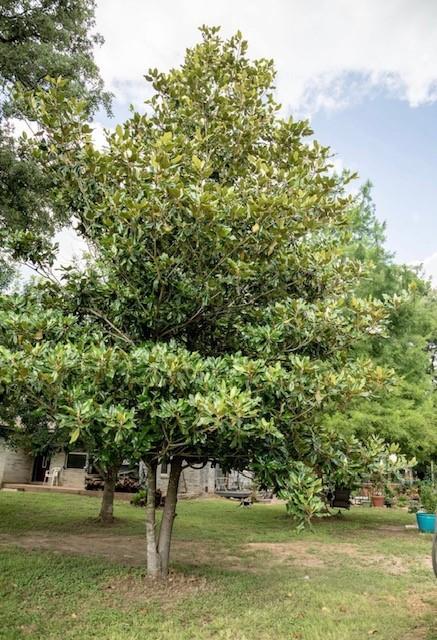 1790 Cr 401 Property Photo 7