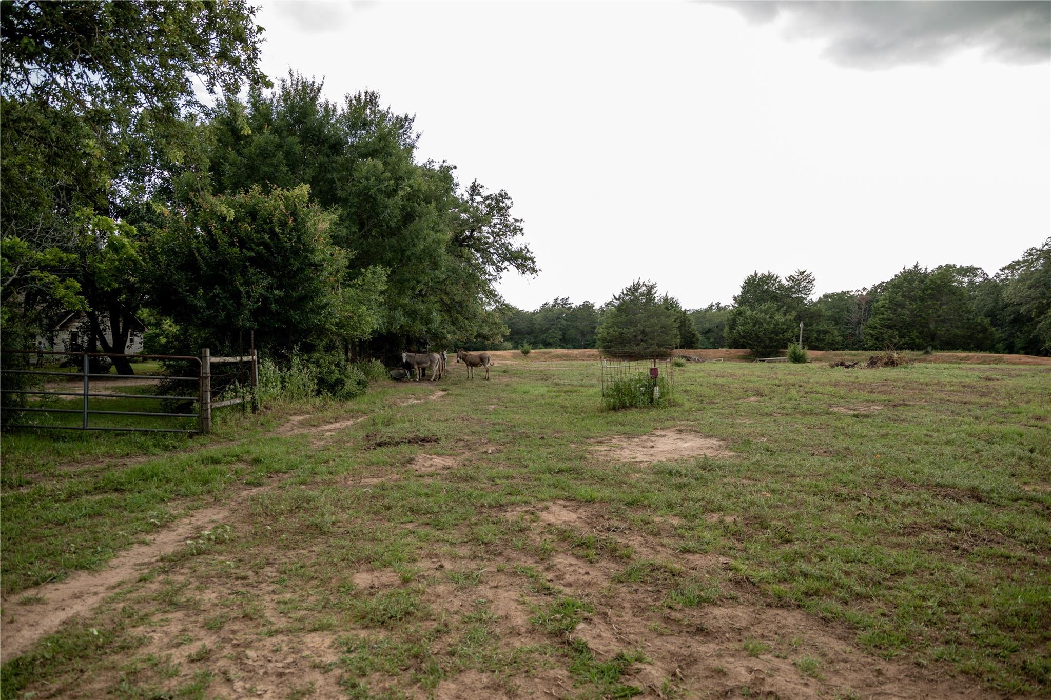 1790 Cr 401 Property Photo 10