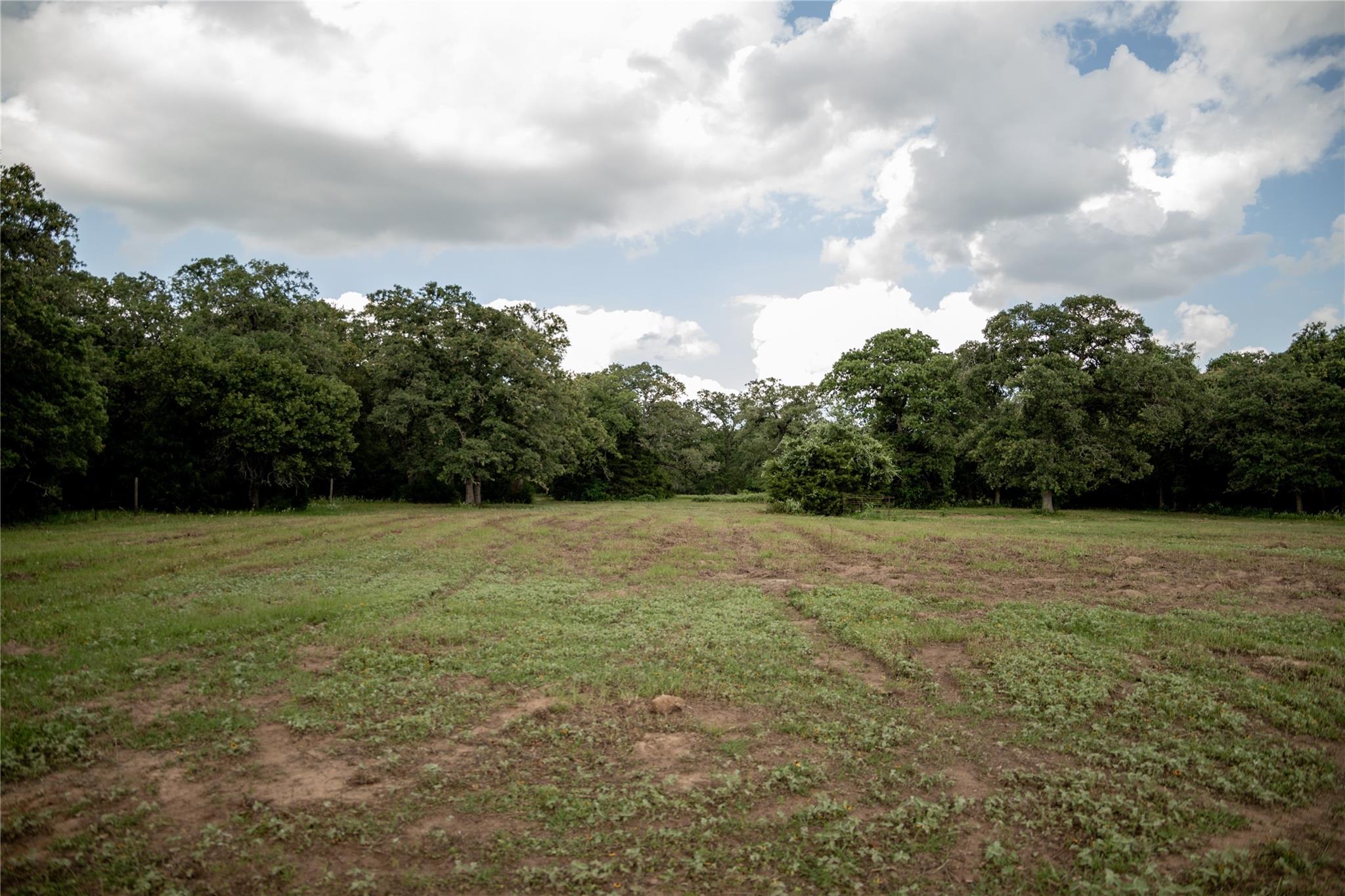 1790 Cr 401 Property Photo 13
