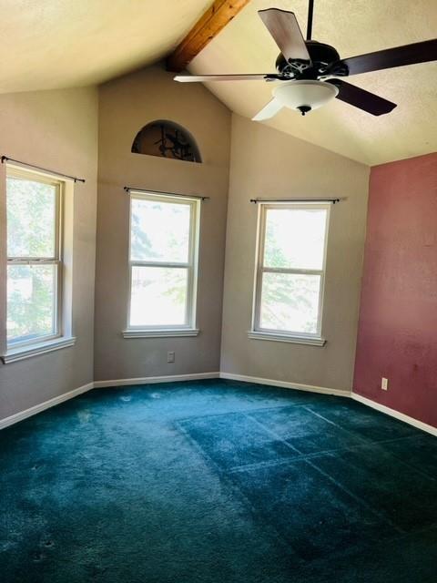 1790 Cr 401 Property Photo 33