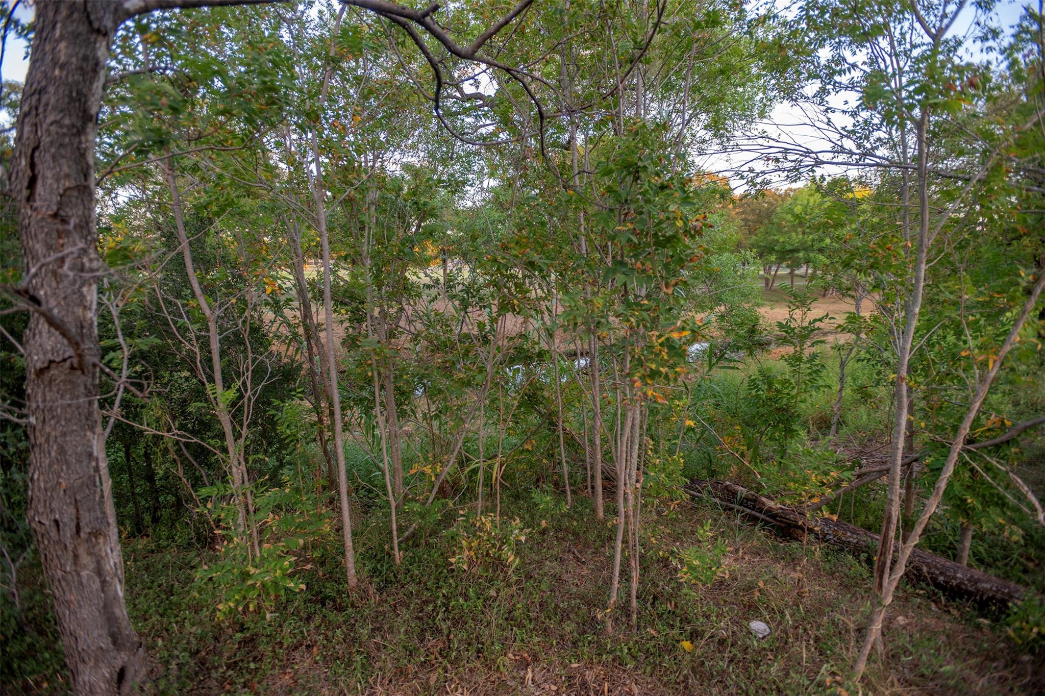 409 Avenue M Ave Property Photo 26
