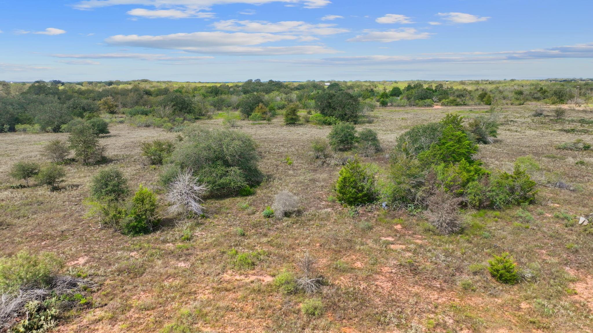 1636 Sparta Field Rd Property Photo 11