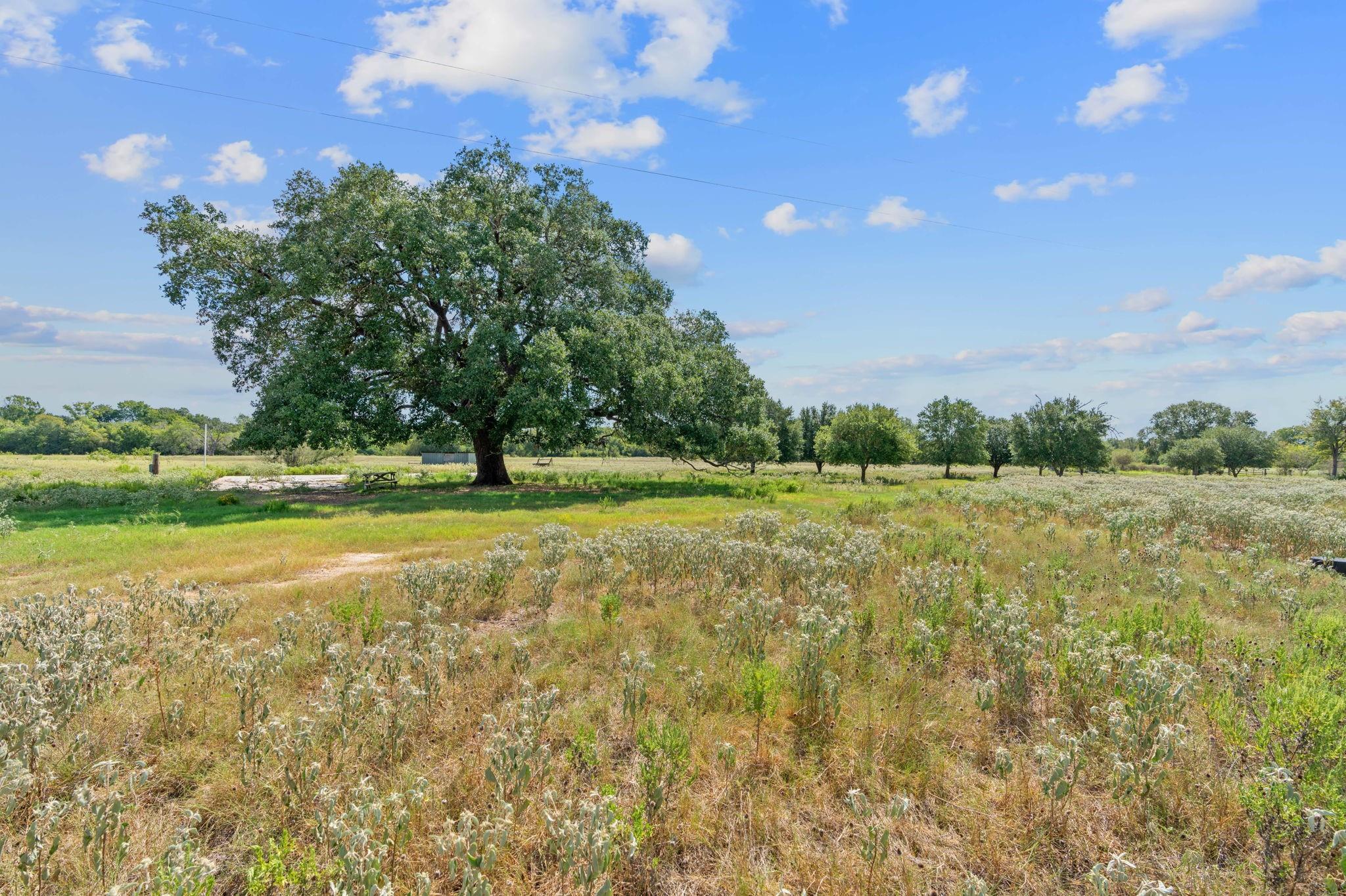 1636 Sparta Field Rd Property Photo 13