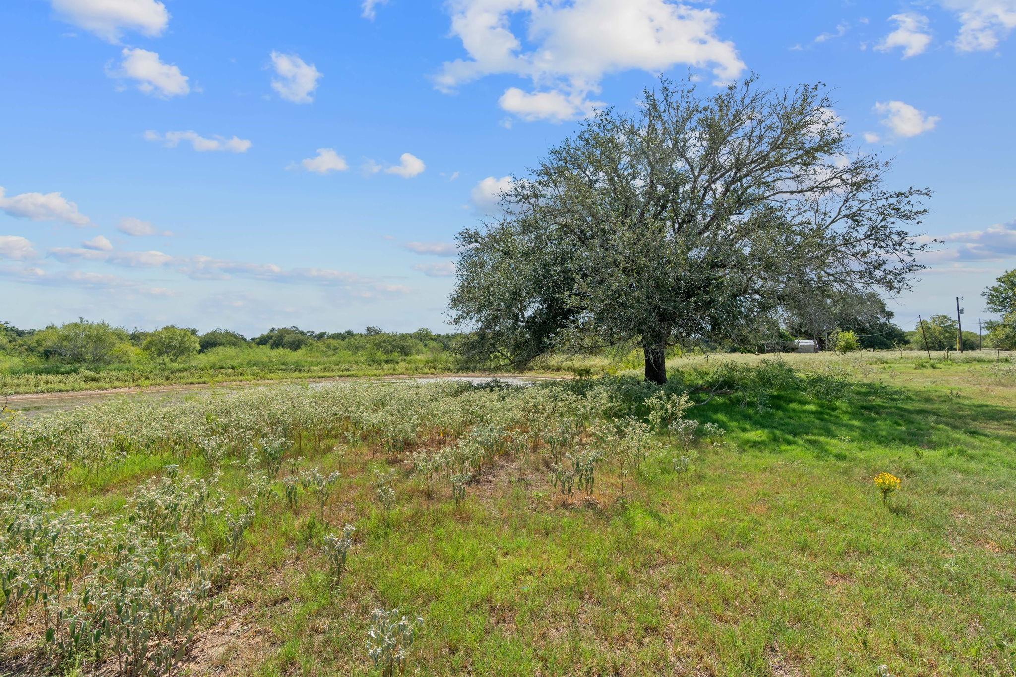 1636 Sparta Field Rd Property Photo 14