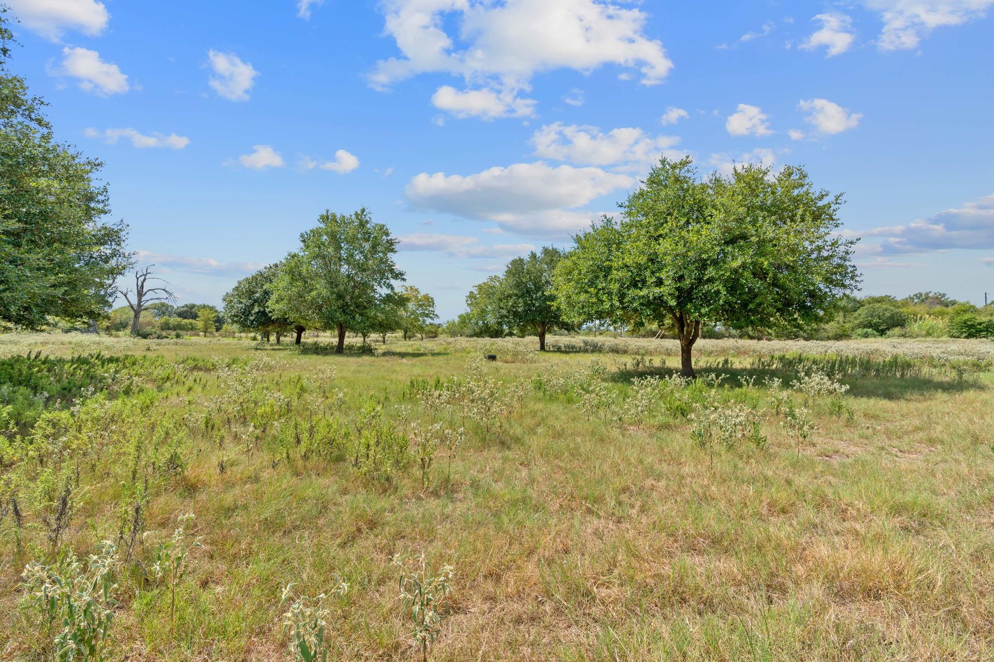 1636 Sparta Field Rd Property Photo 29