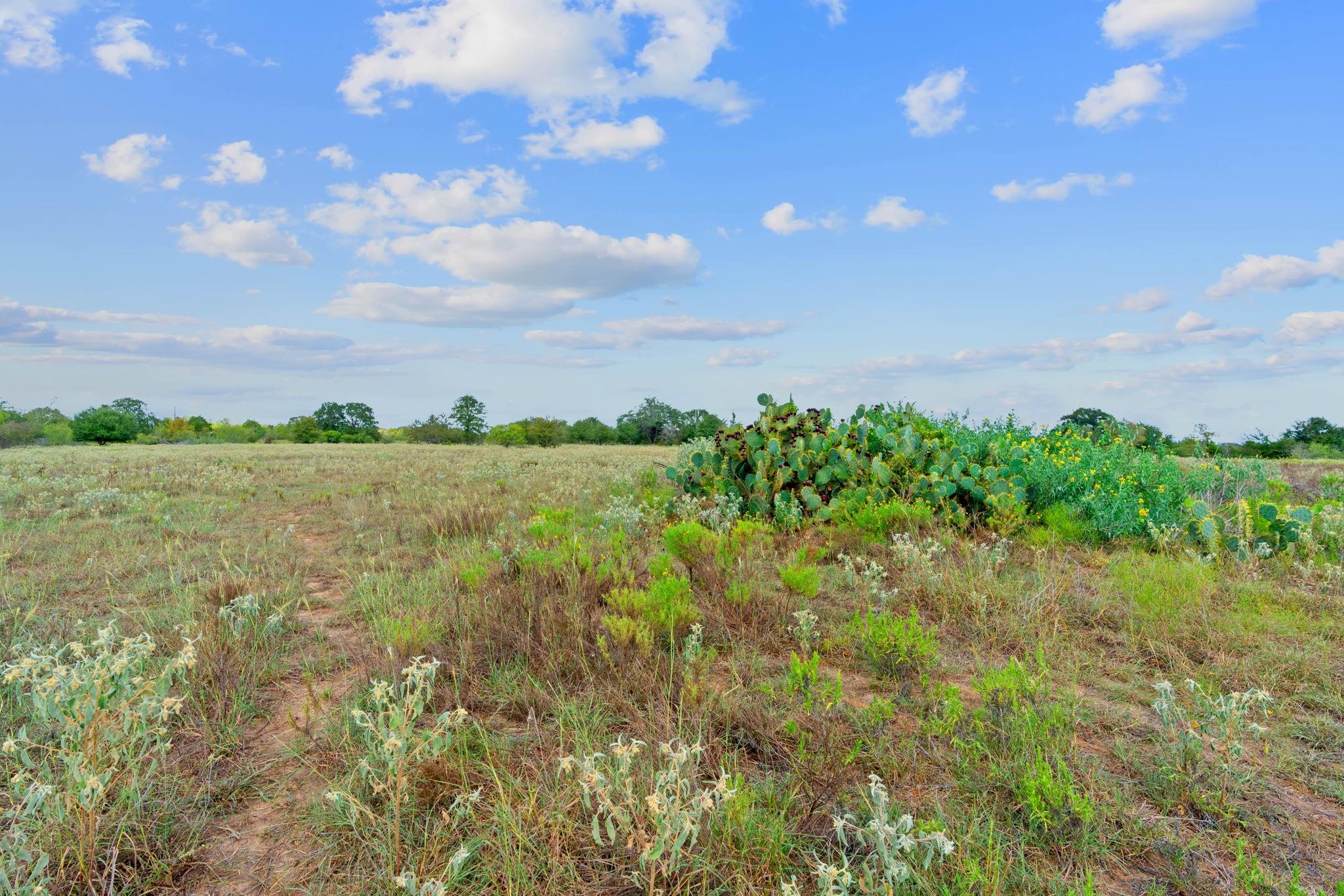 1636 Sparta Field Rd Property Photo 35