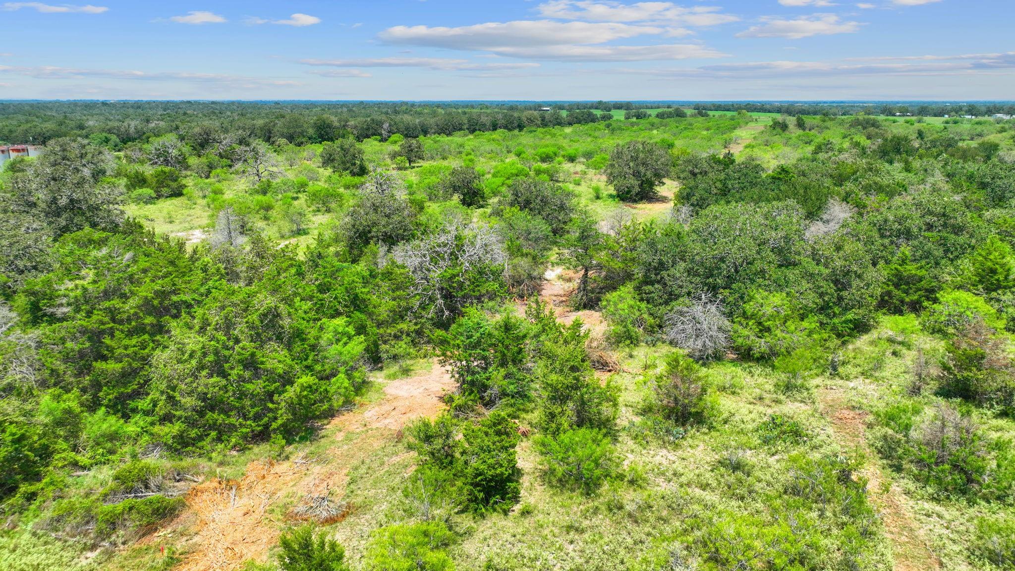 Lot 24 County Road 406 Property Photo 6