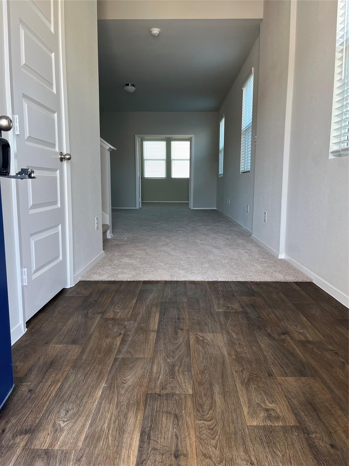 11516 Murano Dr Property Photo 3
