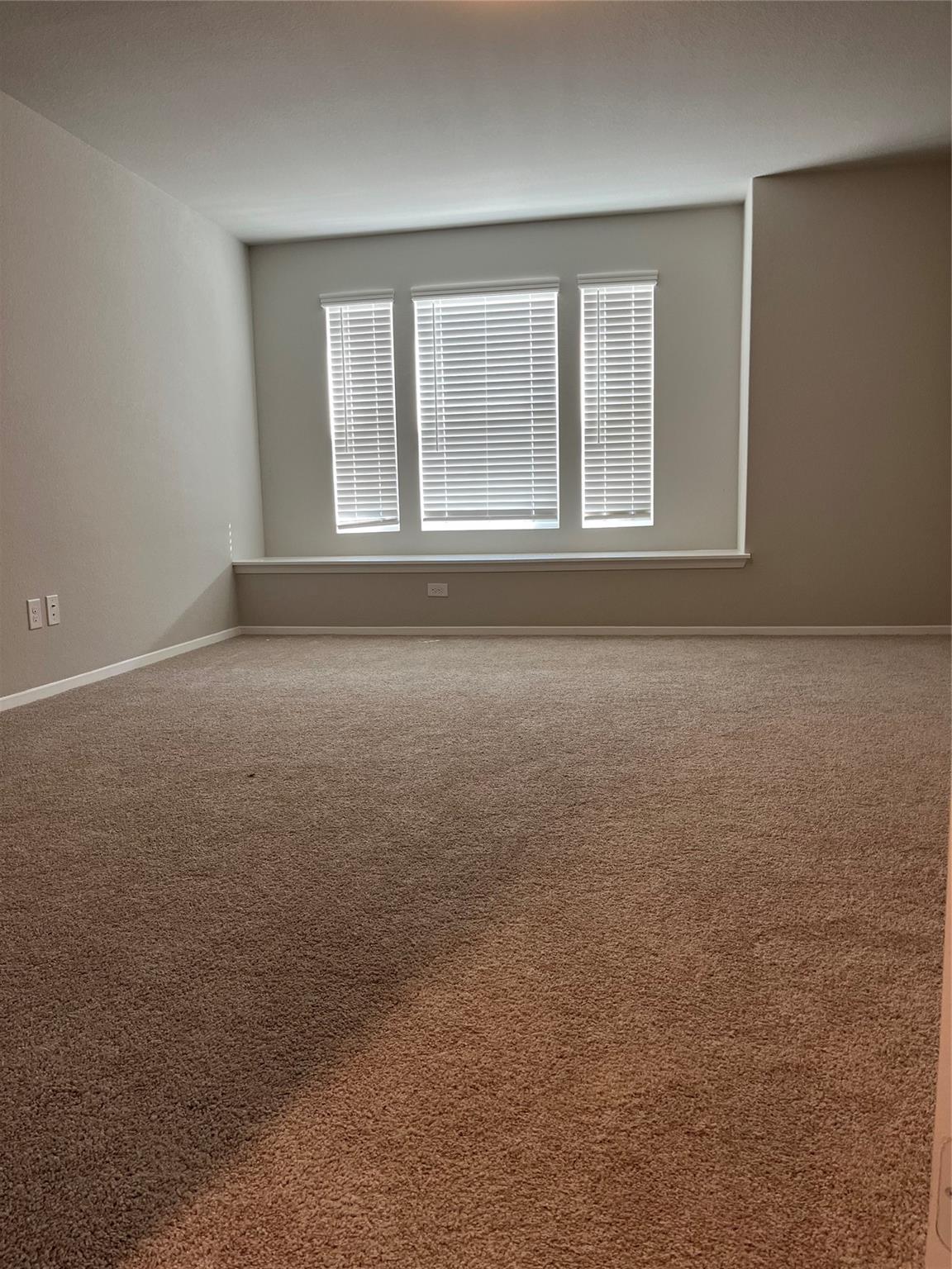 11516 Murano Dr Property Photo 14
