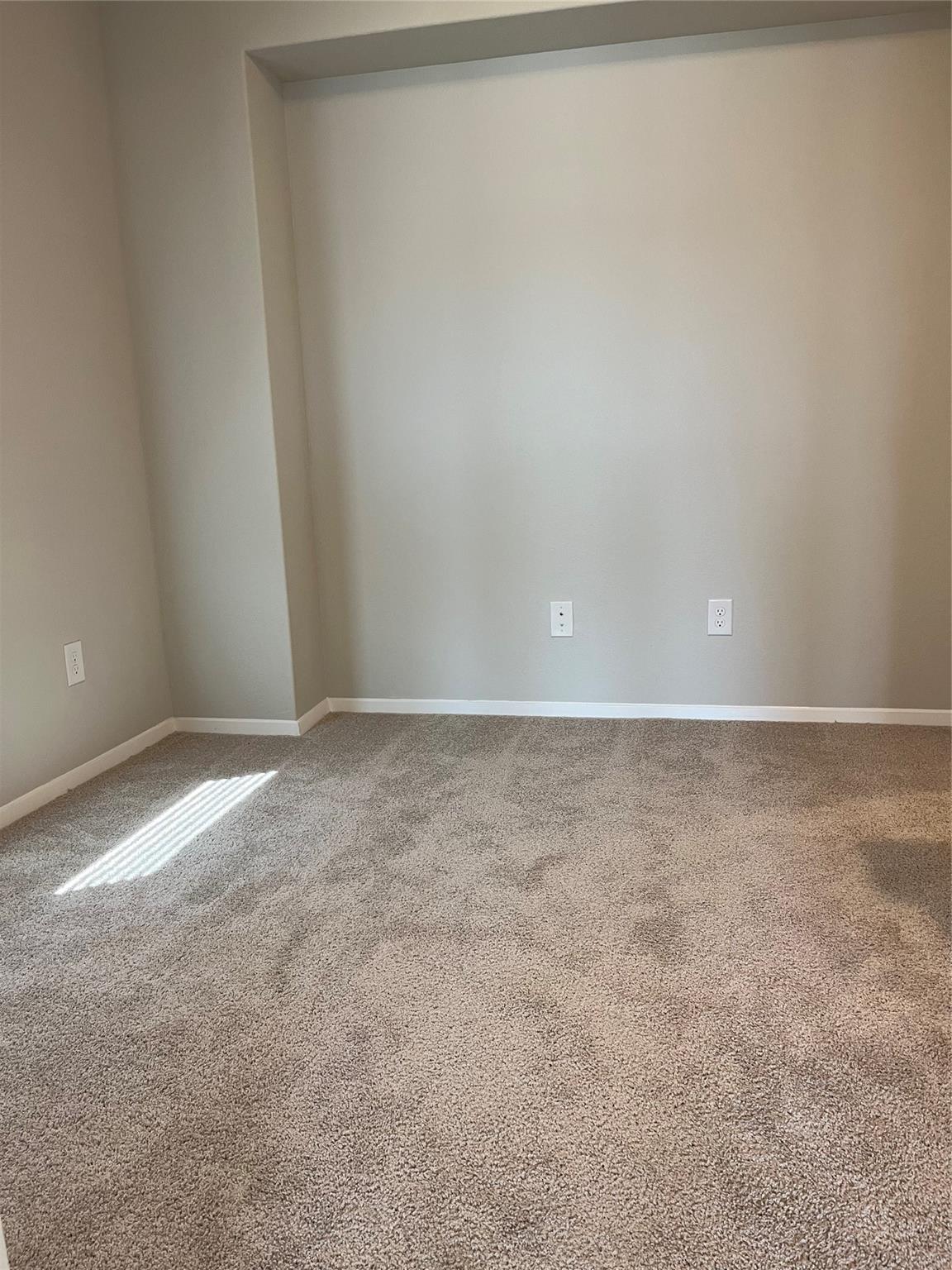 11516 Murano Dr Property Photo 20