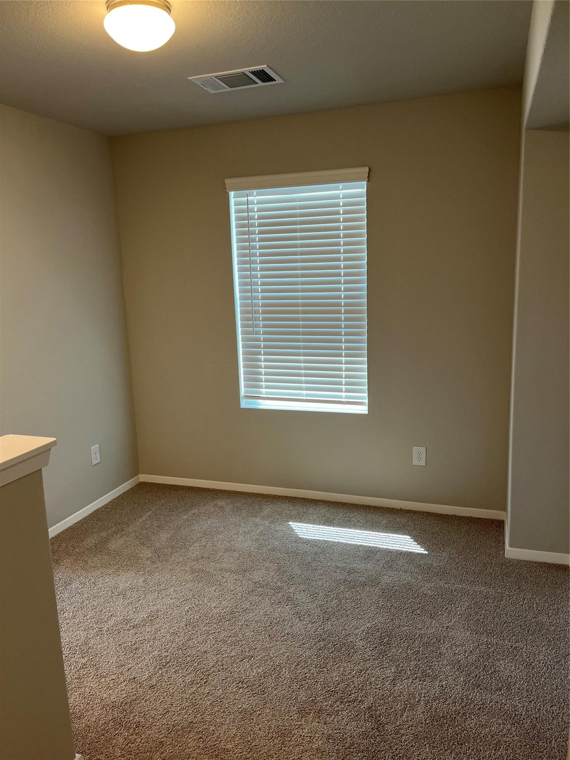 11516 Murano Dr Property Photo 21