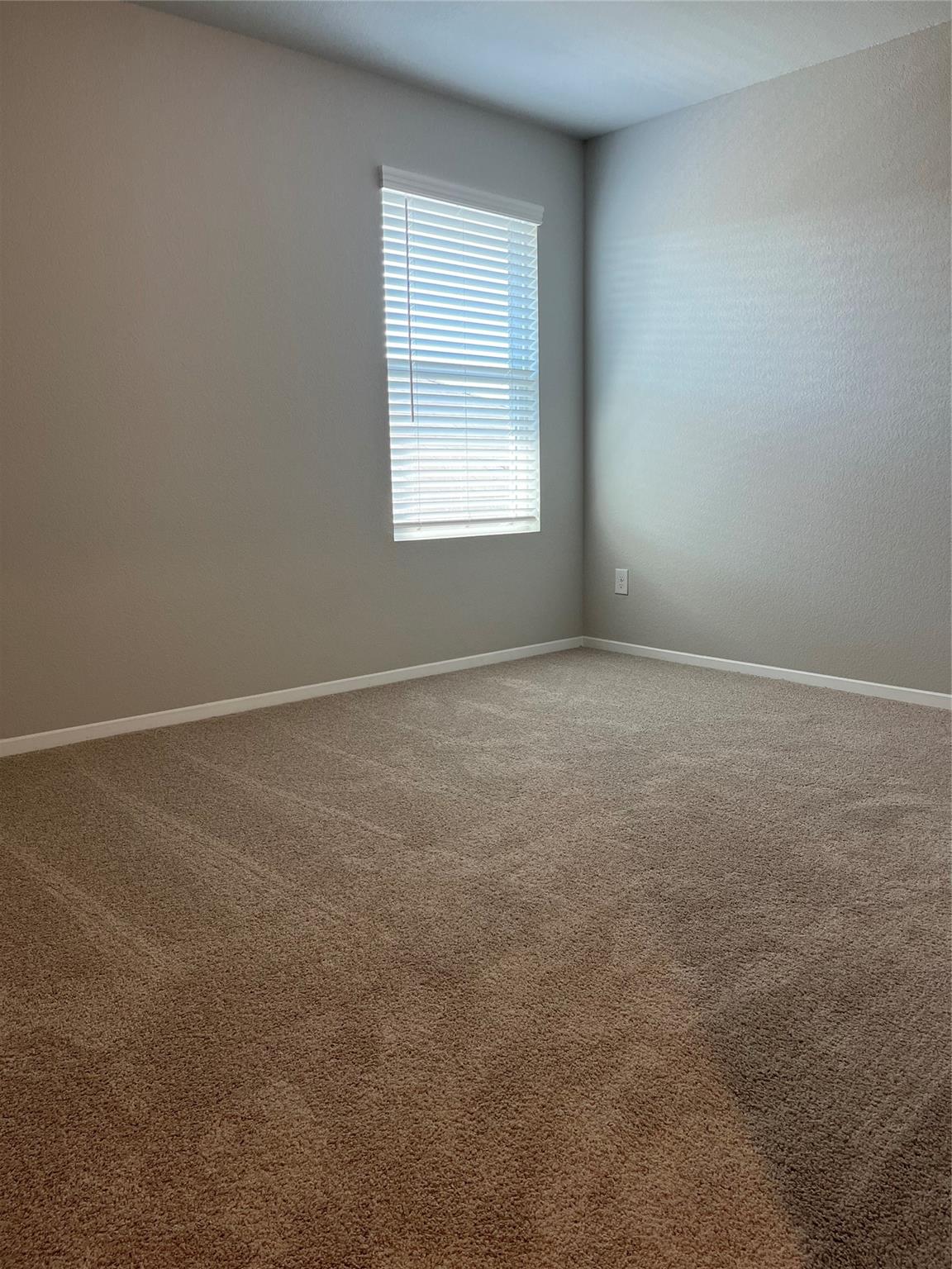 11516 Murano Dr Property Photo 22