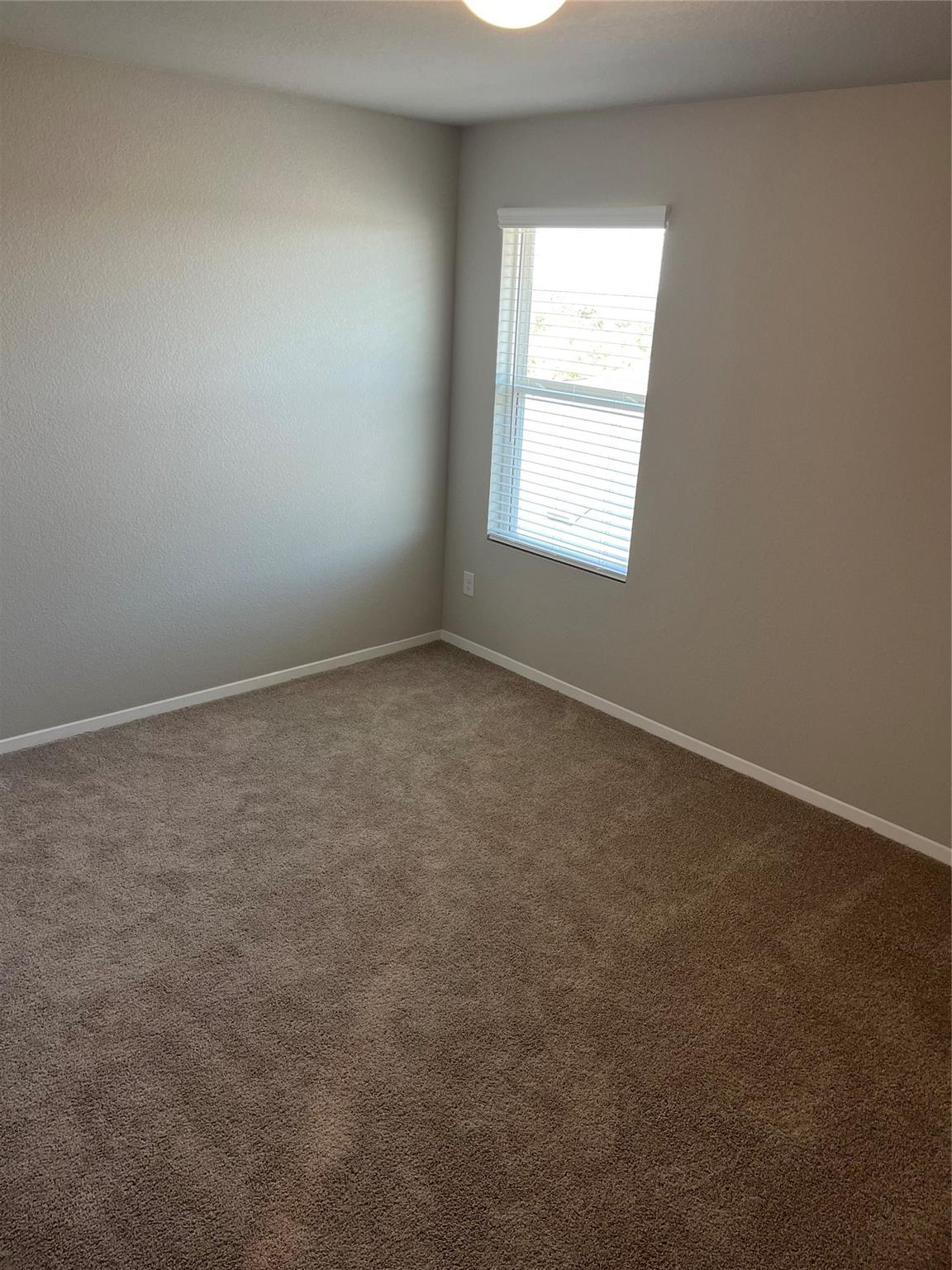 11516 Murano Dr Property Photo 23