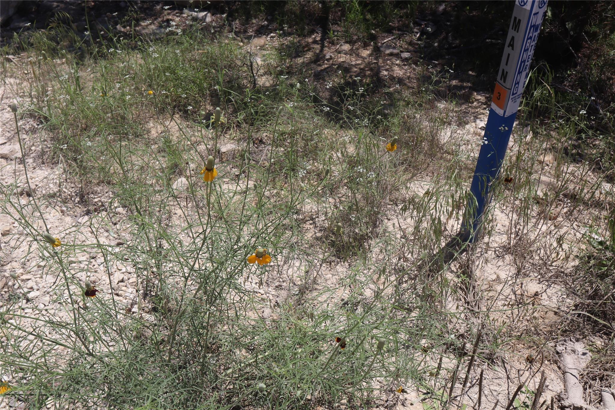91a Golf Dr Property Photo 25