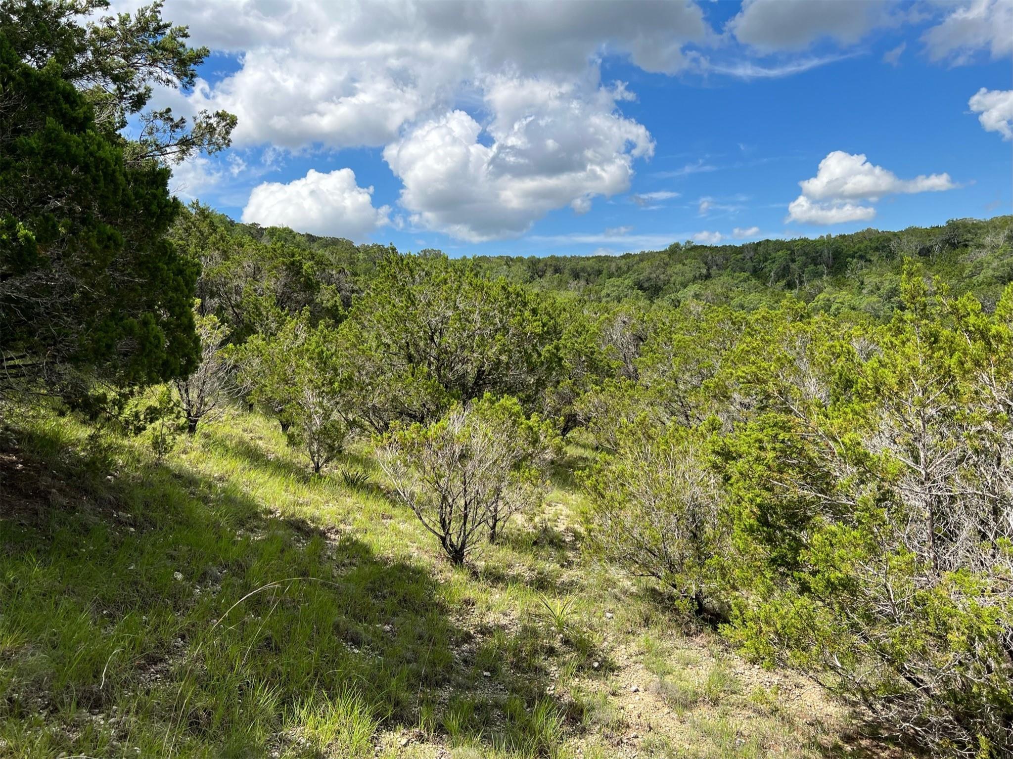 Lot 183-a Suncrest Trl Property Photo 7