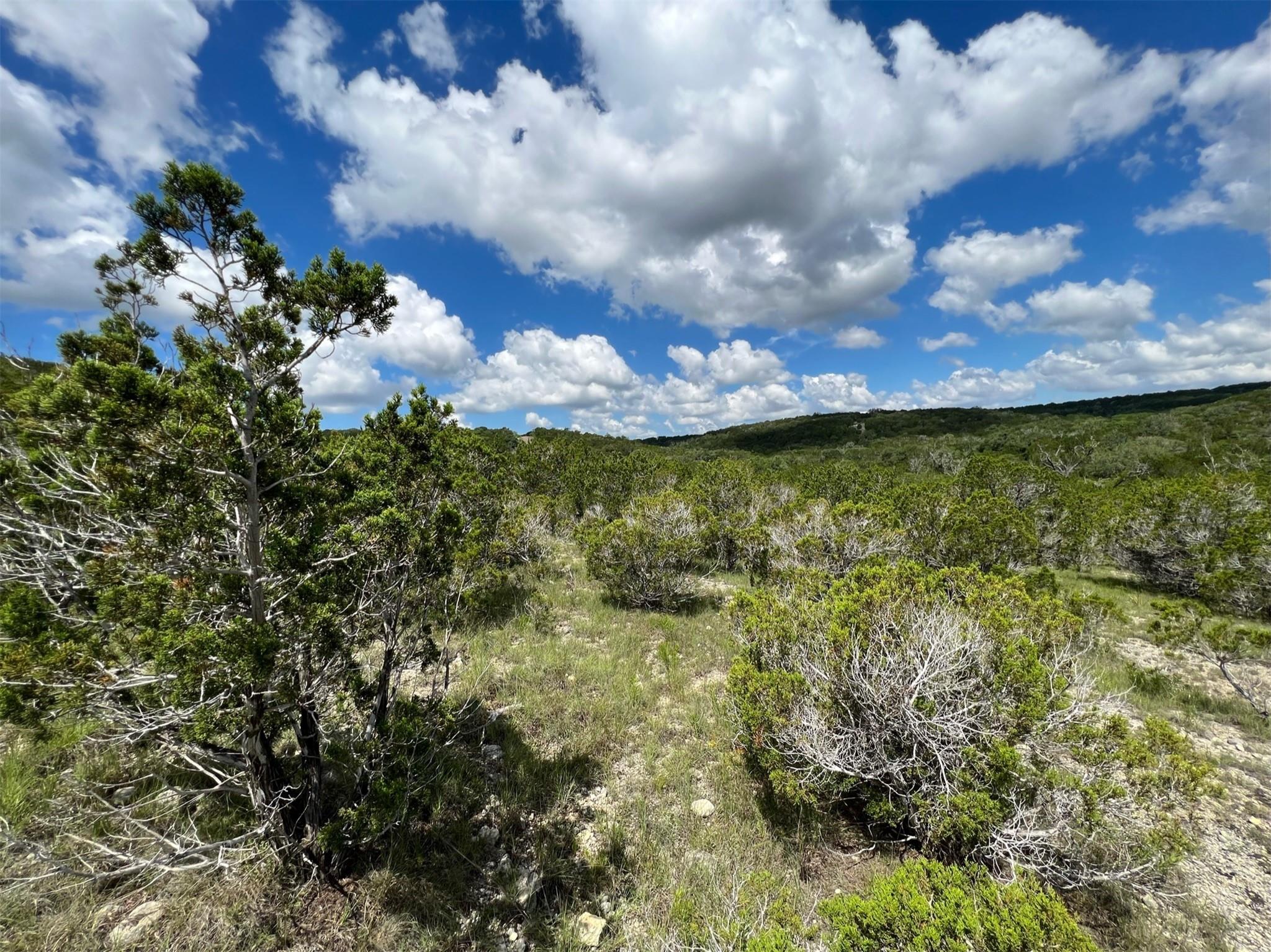 Lot 183-a Suncrest Trl Property Photo 17
