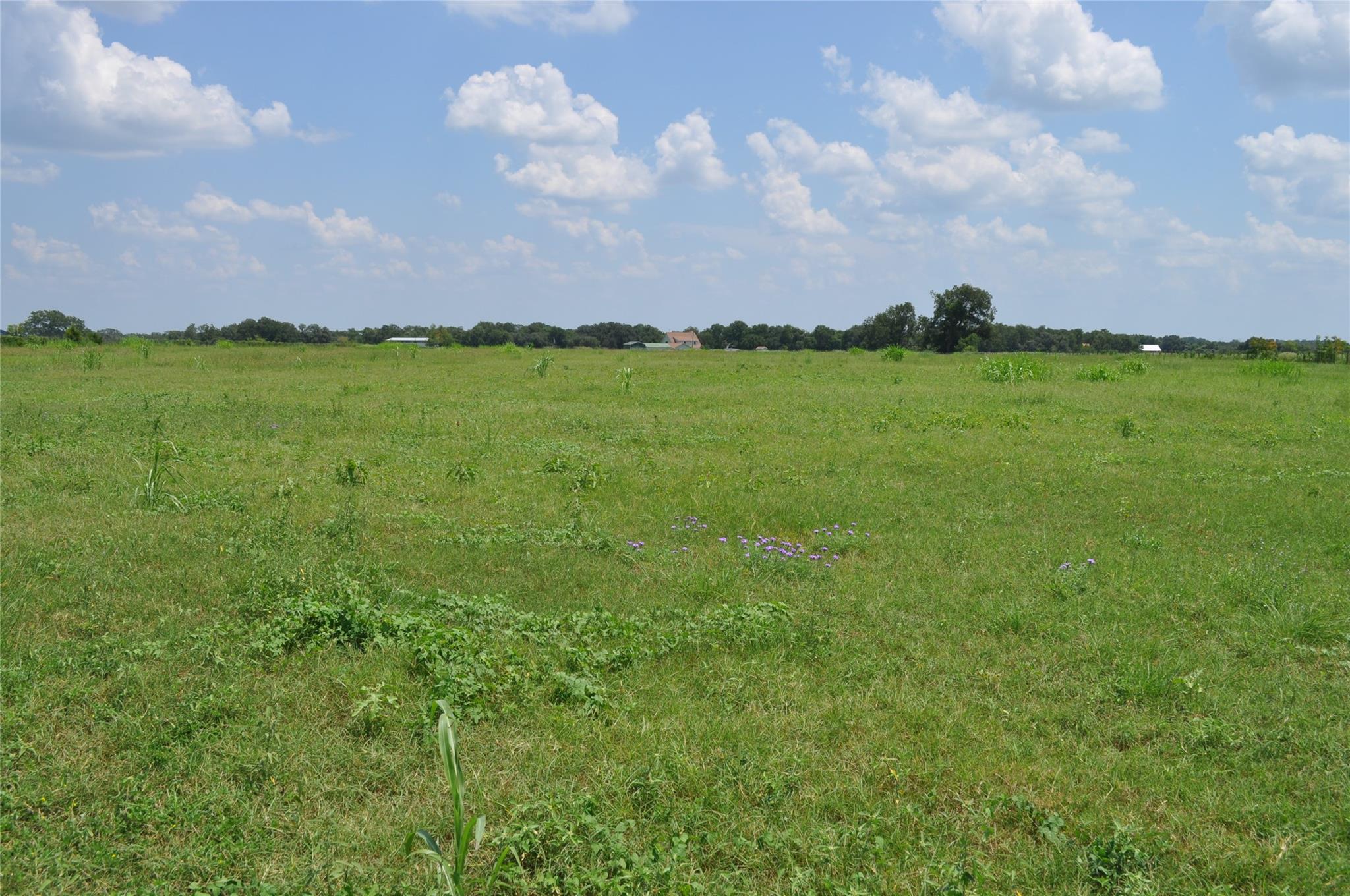 10901 Harmon School Rd Property Photo 17
