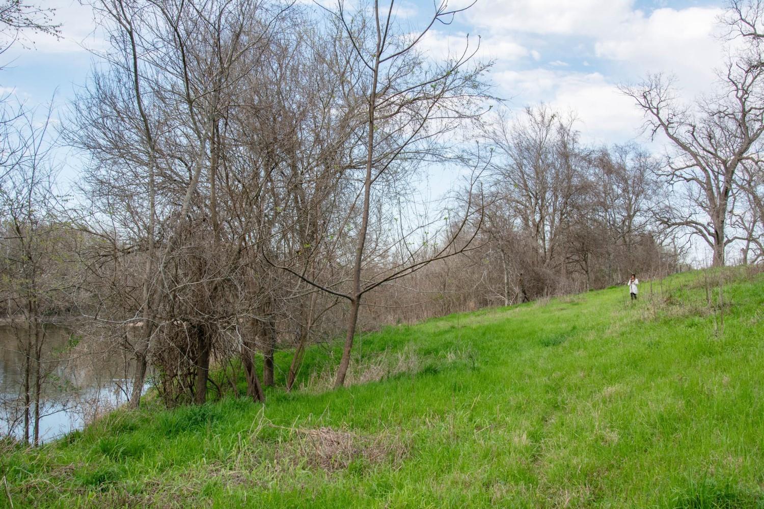Tbd - Tract 3 Rabbs Prairie Rd Property Photo 17