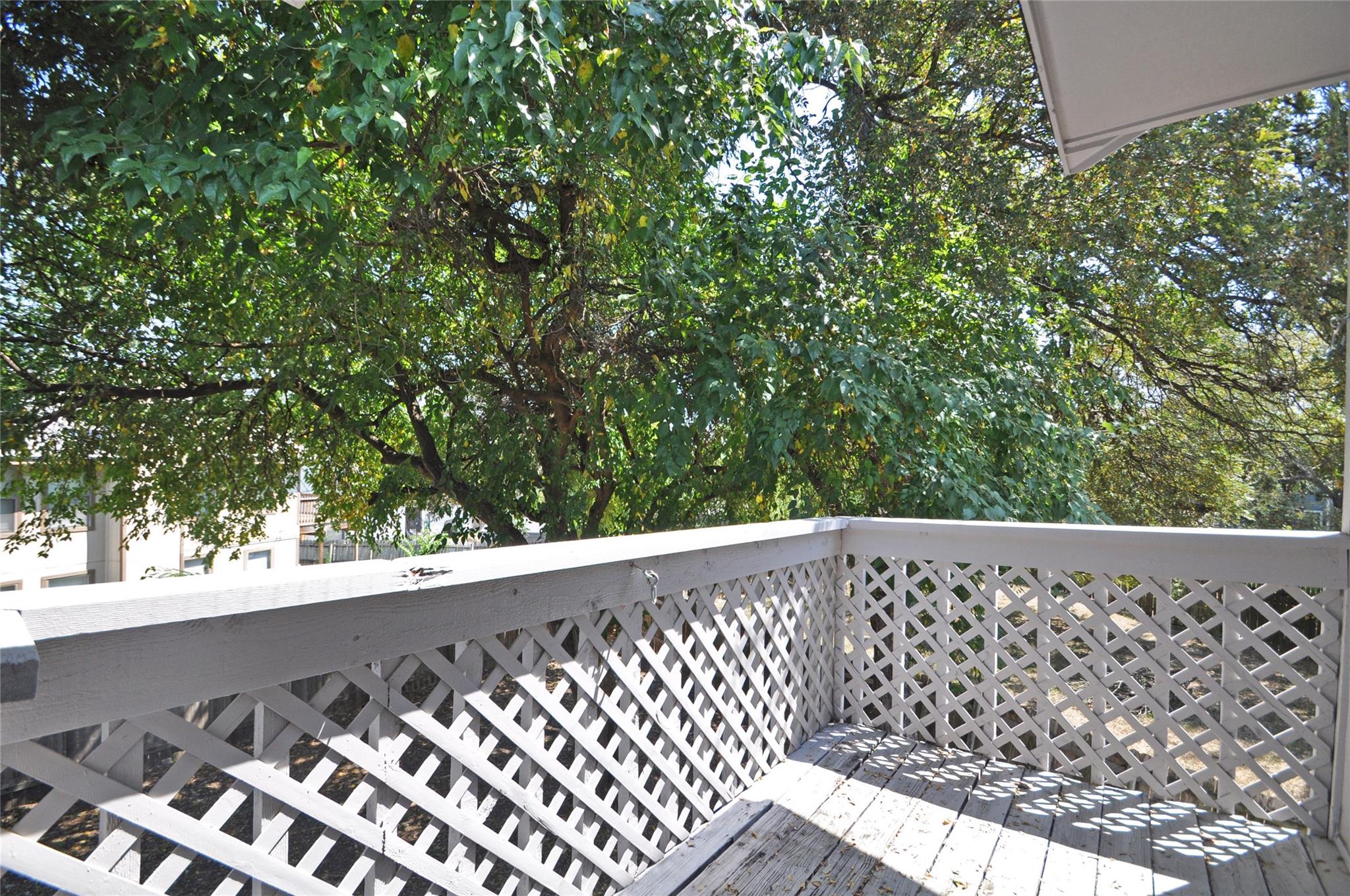 7804 Topawa Cv A Property Photo 19