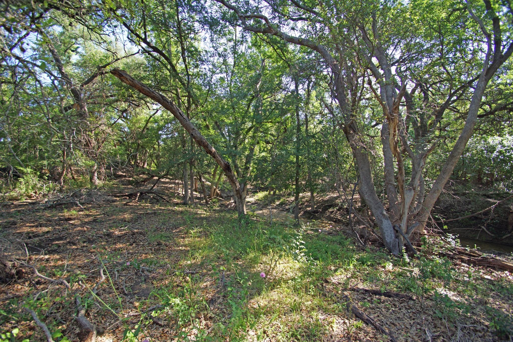 000 Fm 2268 Property Photo 33
