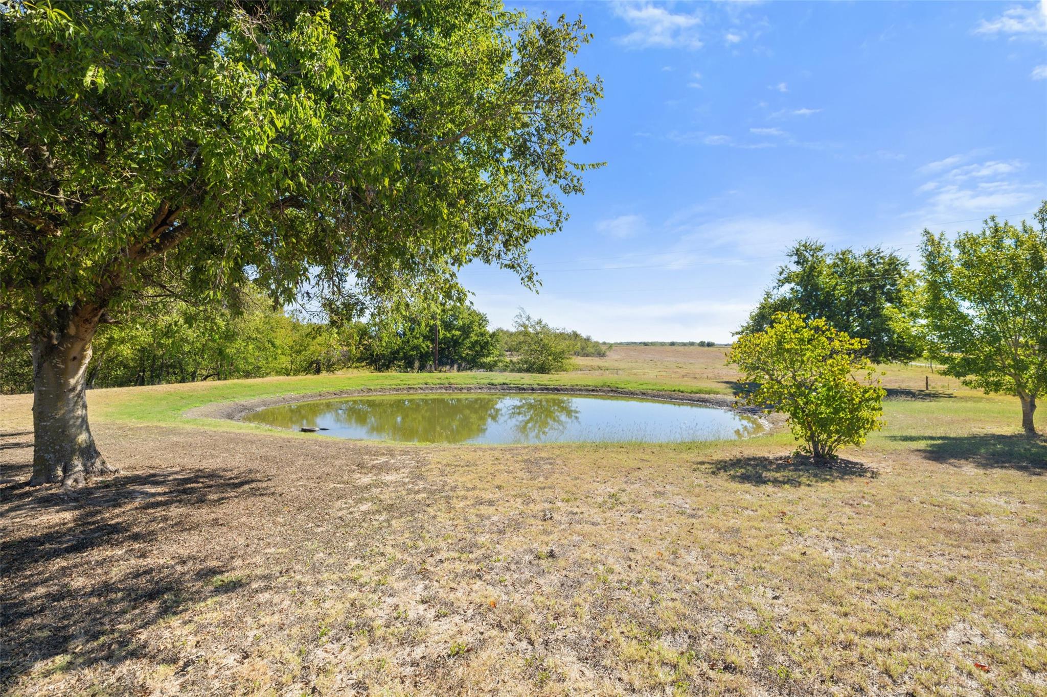 2380 Fm-1063 Property Photo 34