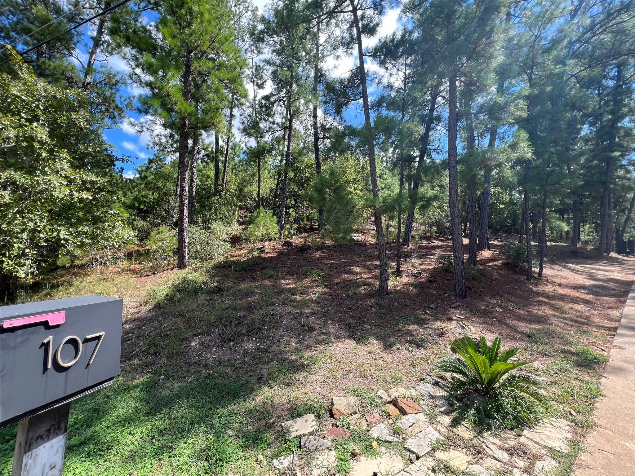 000 Mamalu Dr Property Photo 3