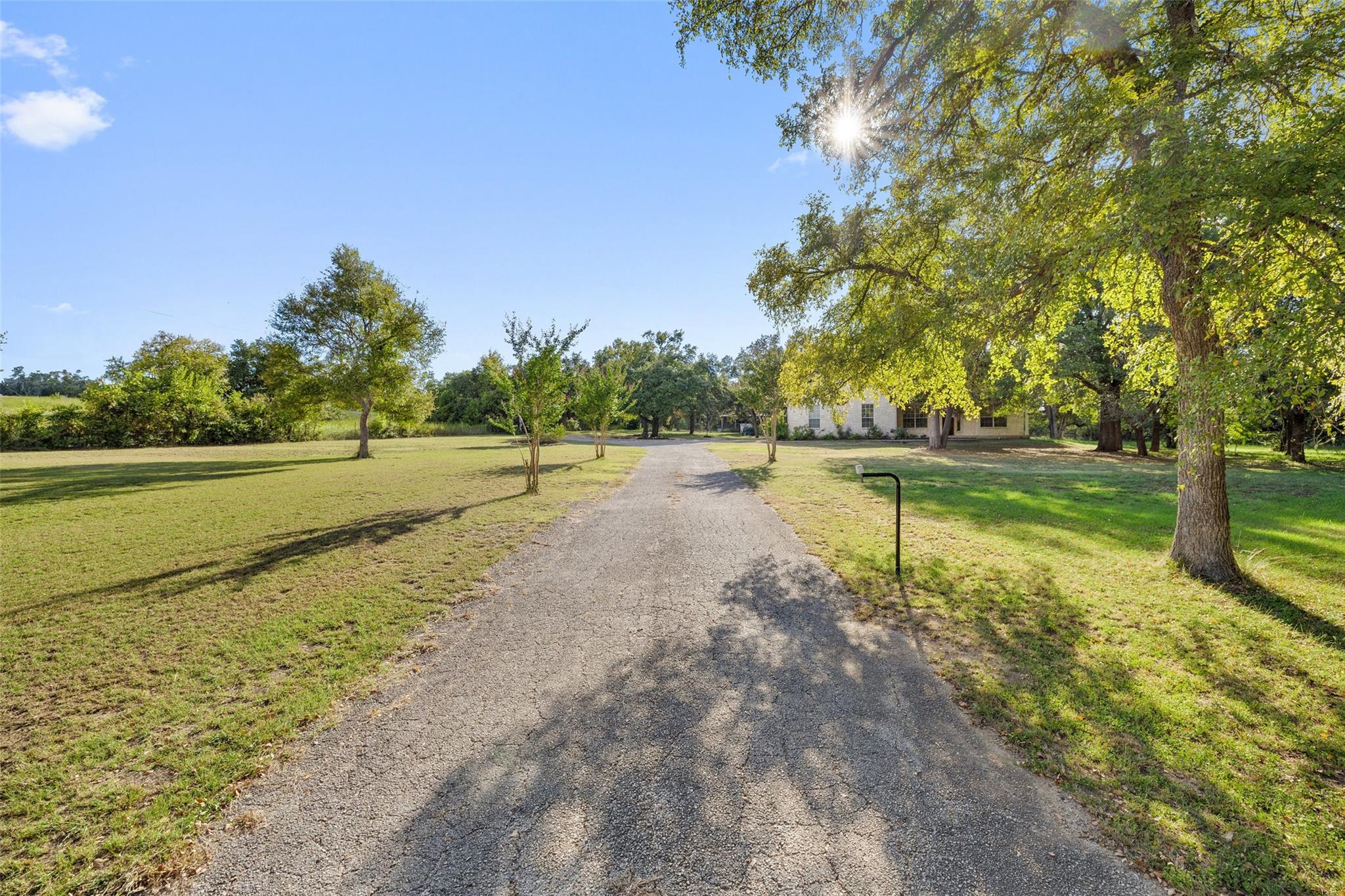 206 Spring Creek Dr Property Photo 3