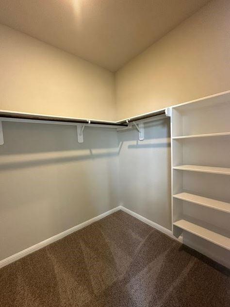 1020 Vista View Dr 1701 Property Photo 22