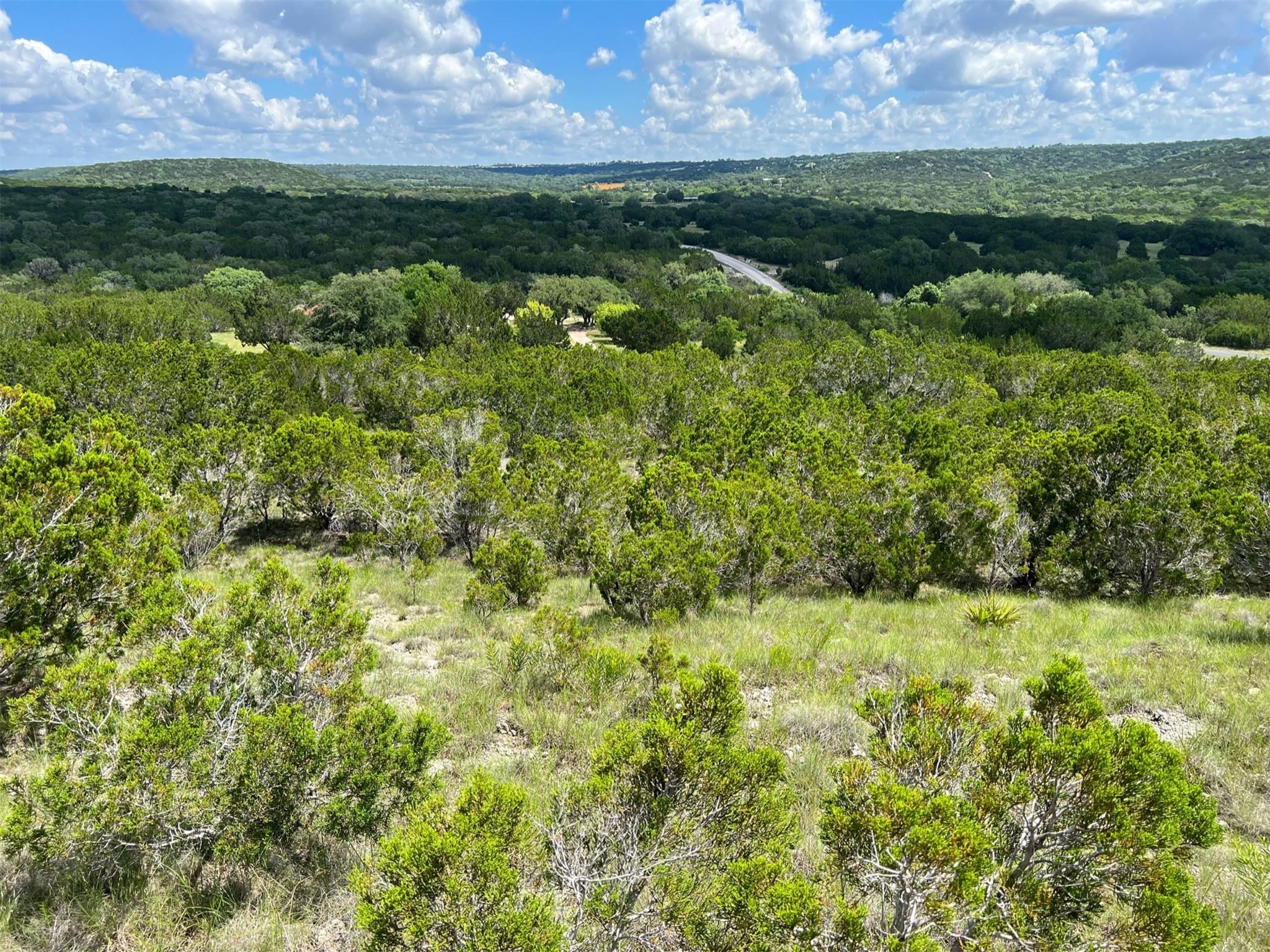 105 Woodhollow Dr Property Photo 10