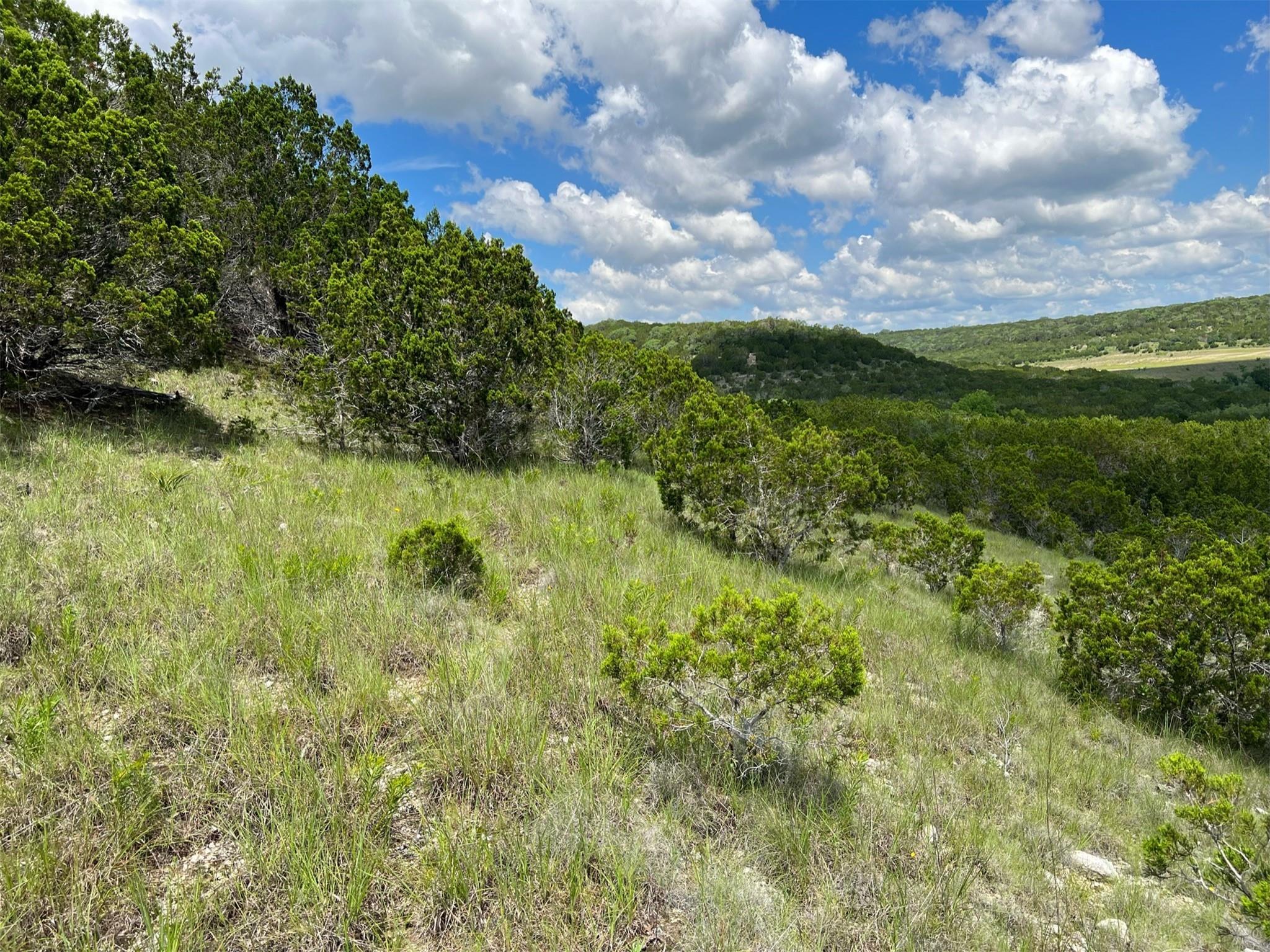 105 Woodhollow Dr Property Photo 14