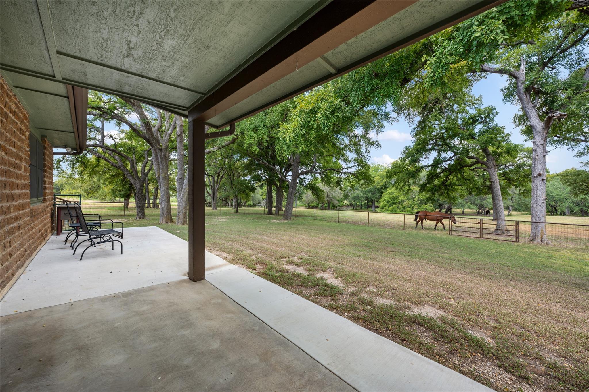 121 Dog Run Property Photo 5