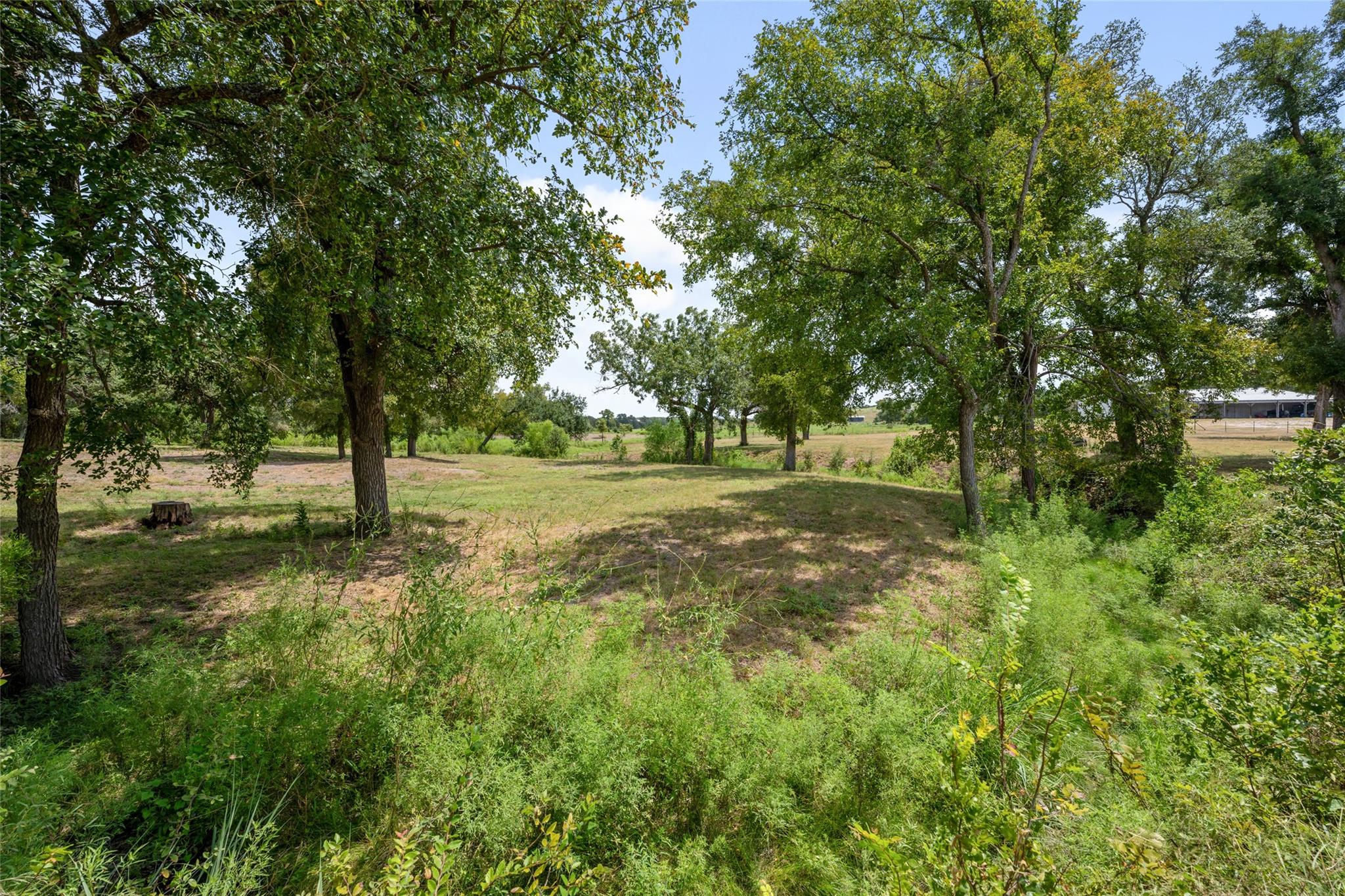 121 Dog Run Property Photo 36