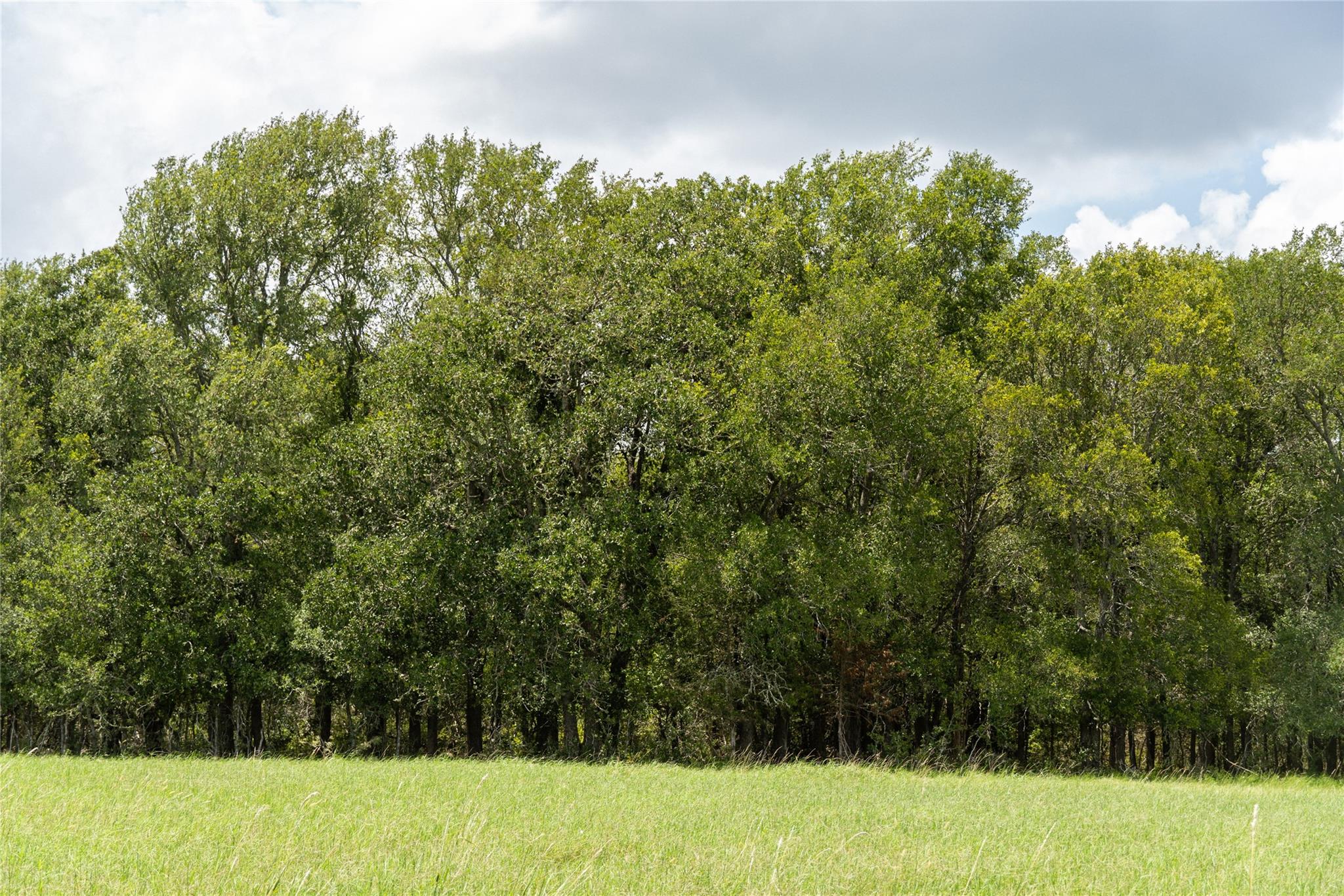 Tbd St Delight Rd (tract 4) Property Photo 5