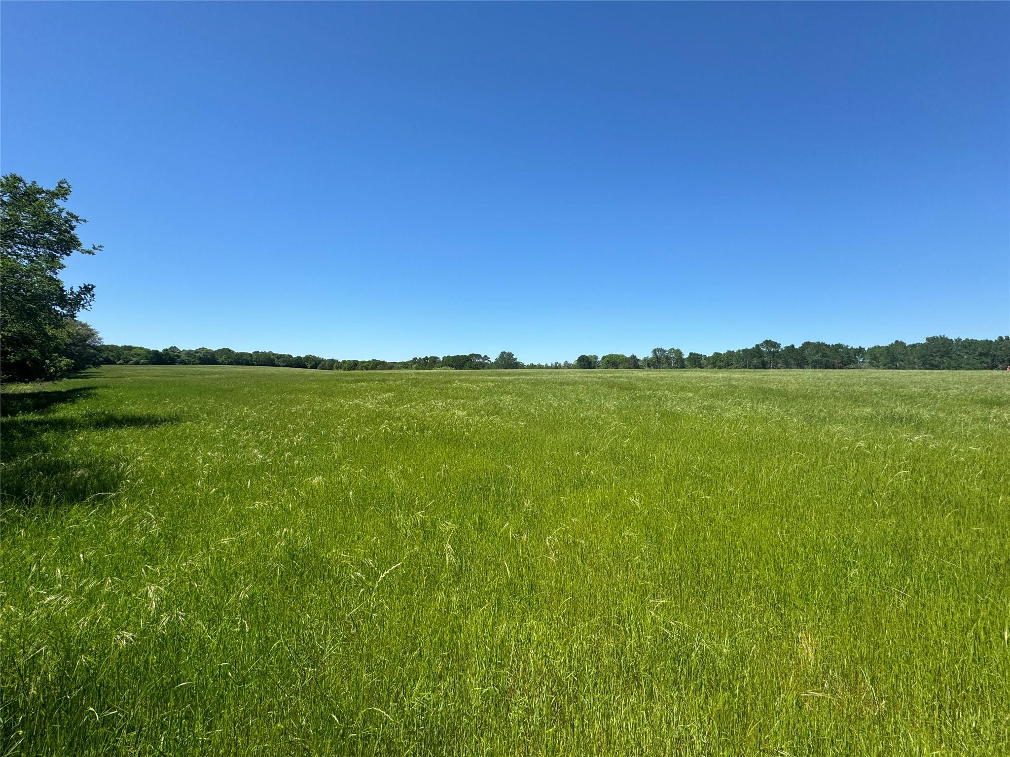 Tbd St Delight Rd (tract 4) Property Photo 10
