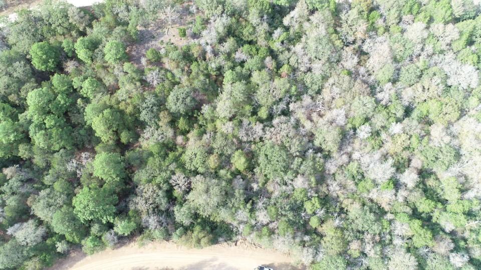 Lot 1233 Hanauma Dr Property Photo 26