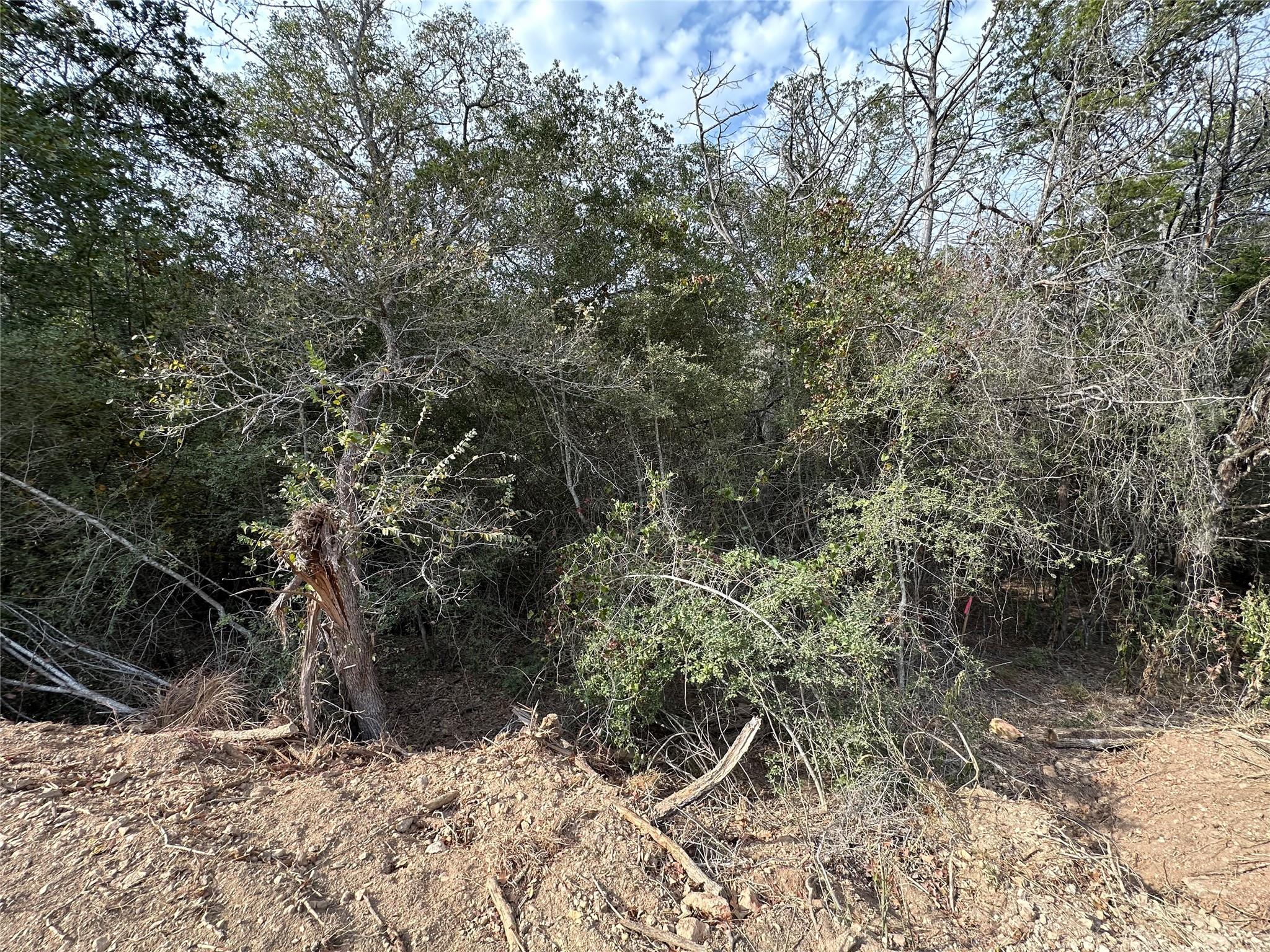 Lot 1233 Hanauma Dr Property Photo 28