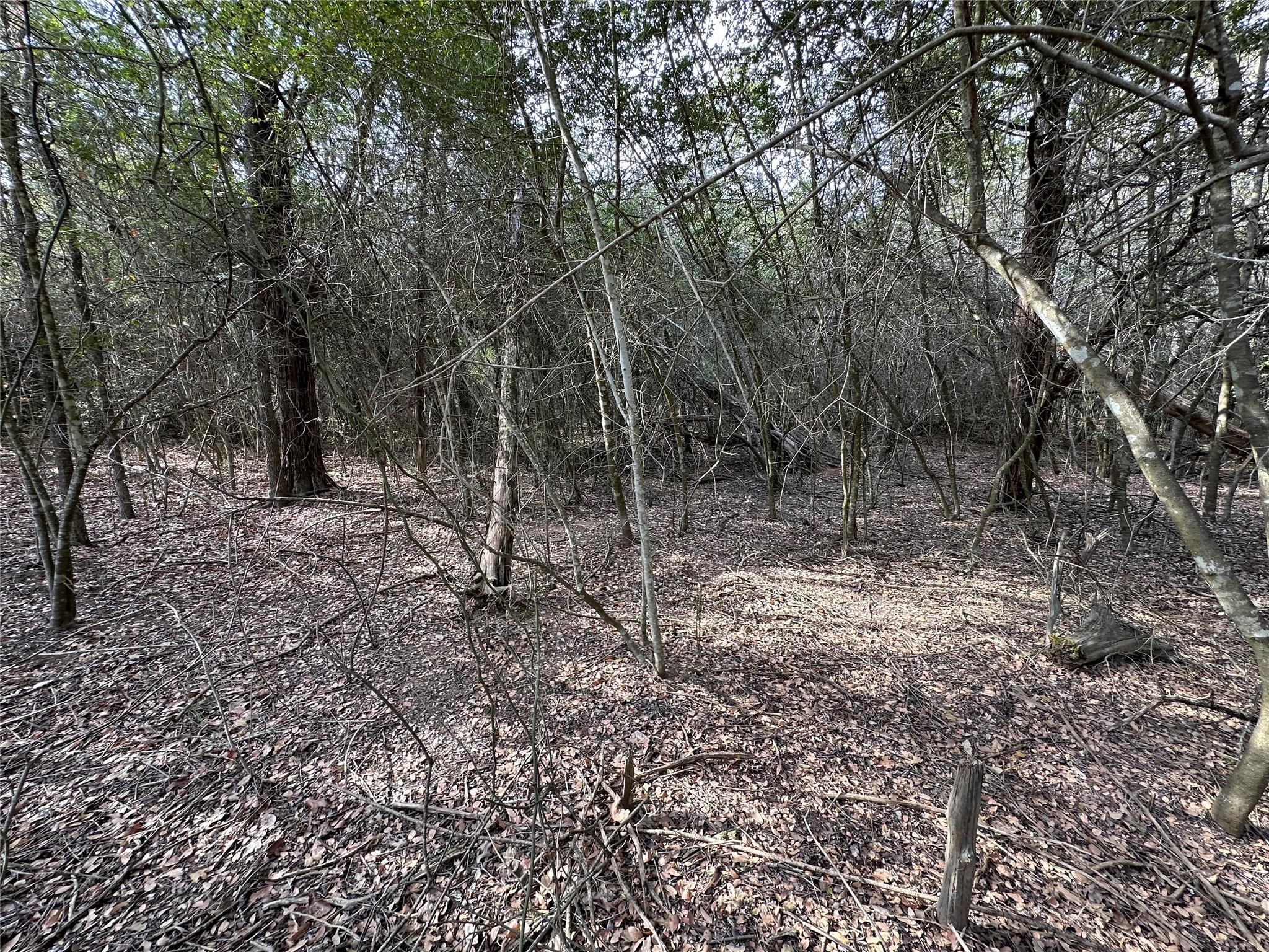 Lot 1233 Hanauma Dr Property Photo 30
